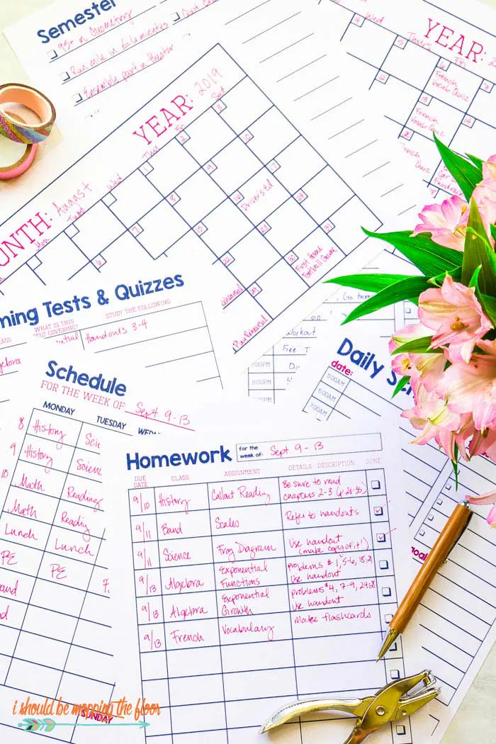 TRIO Planner Set Up
