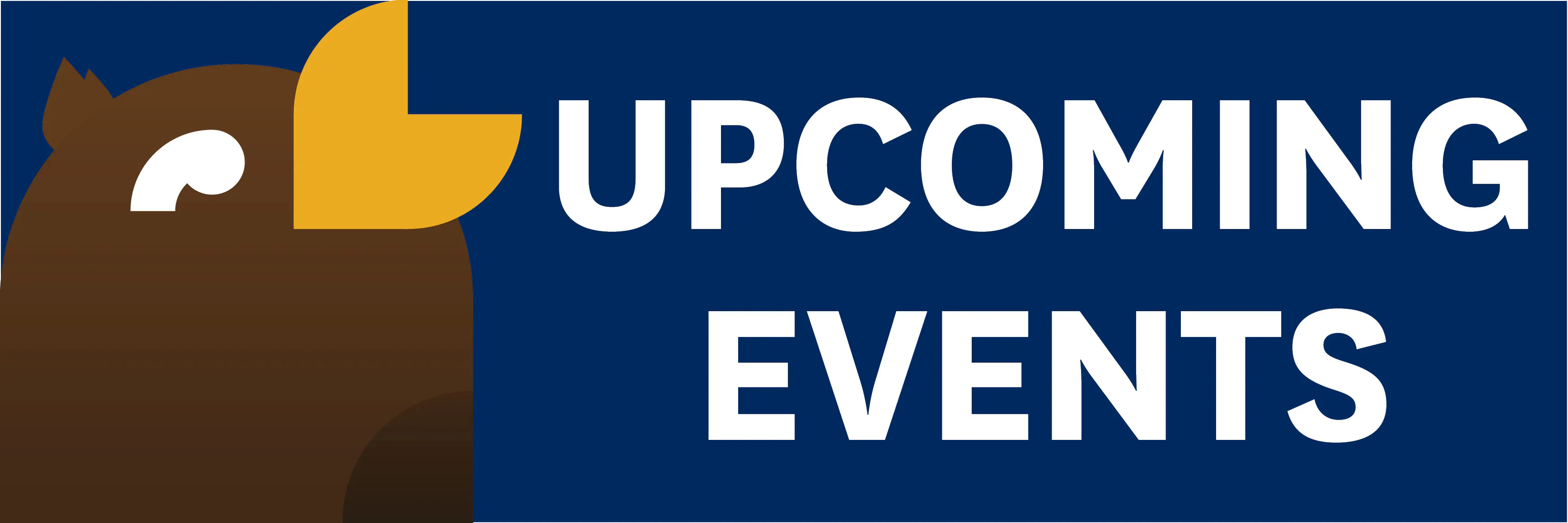 Upcoming Events section header with a mosaic of Flash speaking.