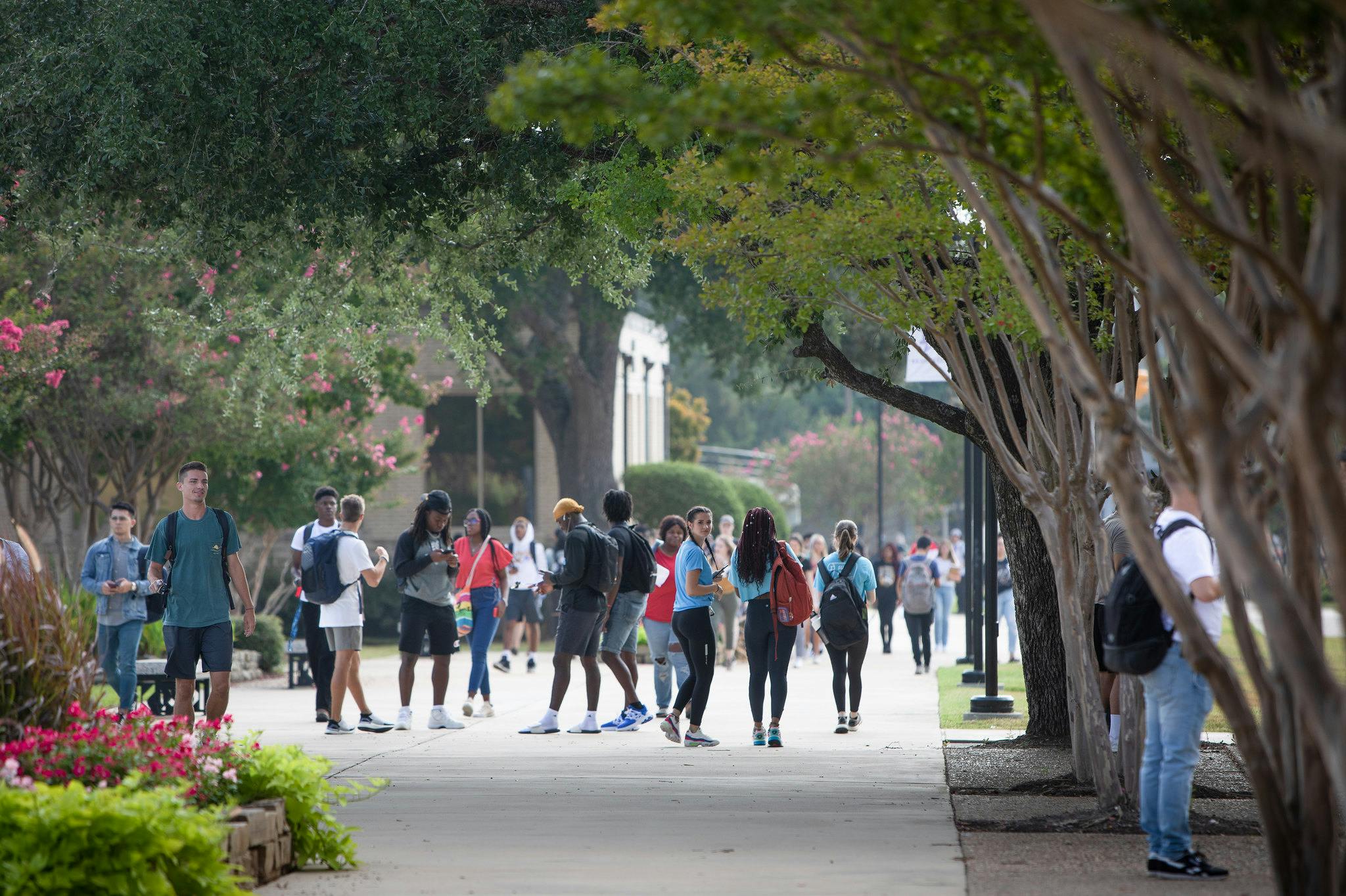 elm-pg-billboard-app large photo