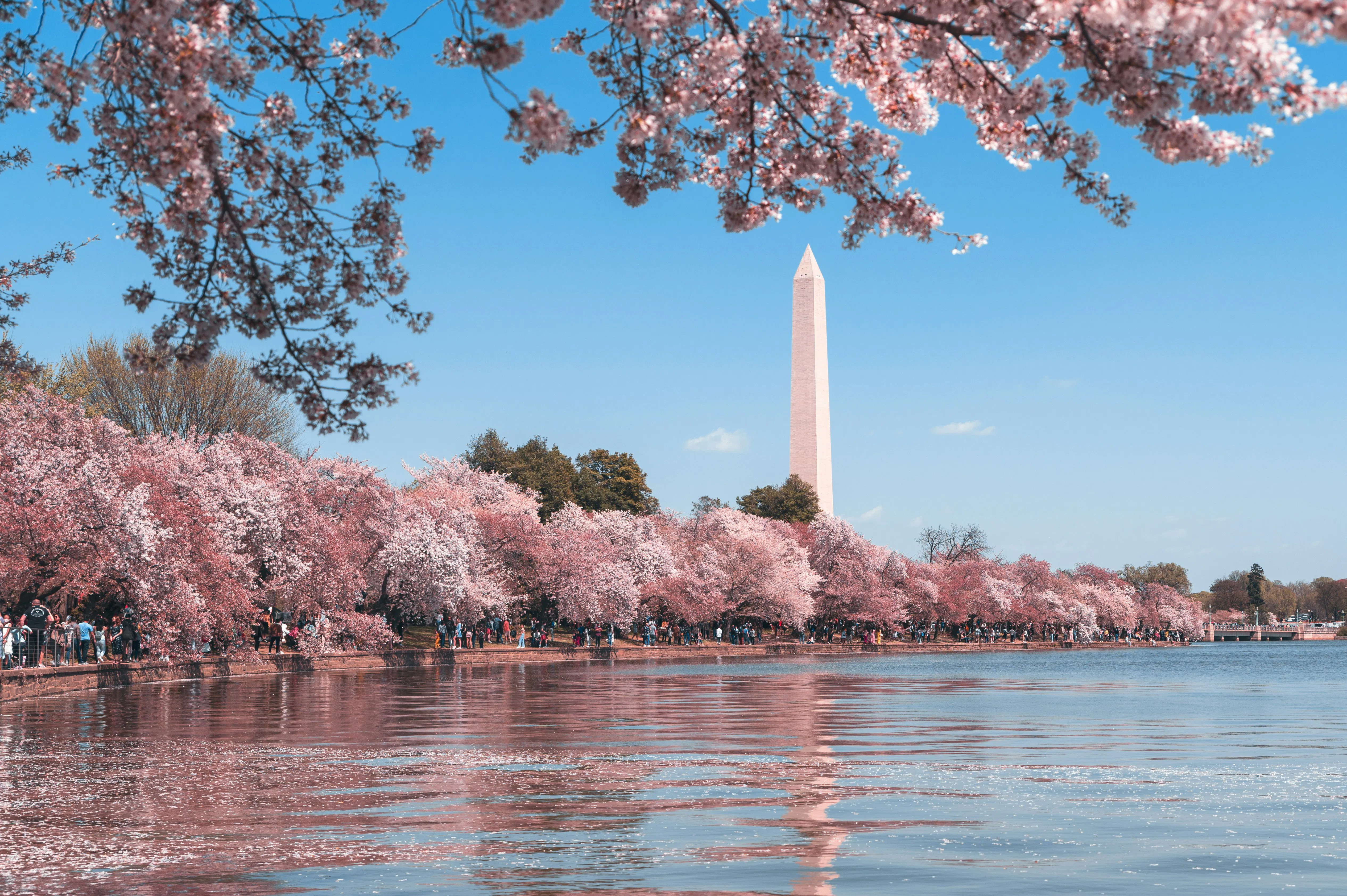 Experience DC Trip