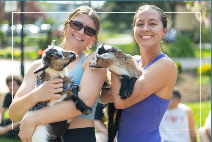 Goat Yoga.