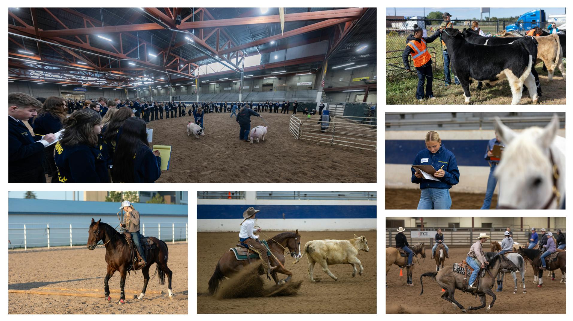 elm-pg-billboard-form-centered AgEquineActivityTeams