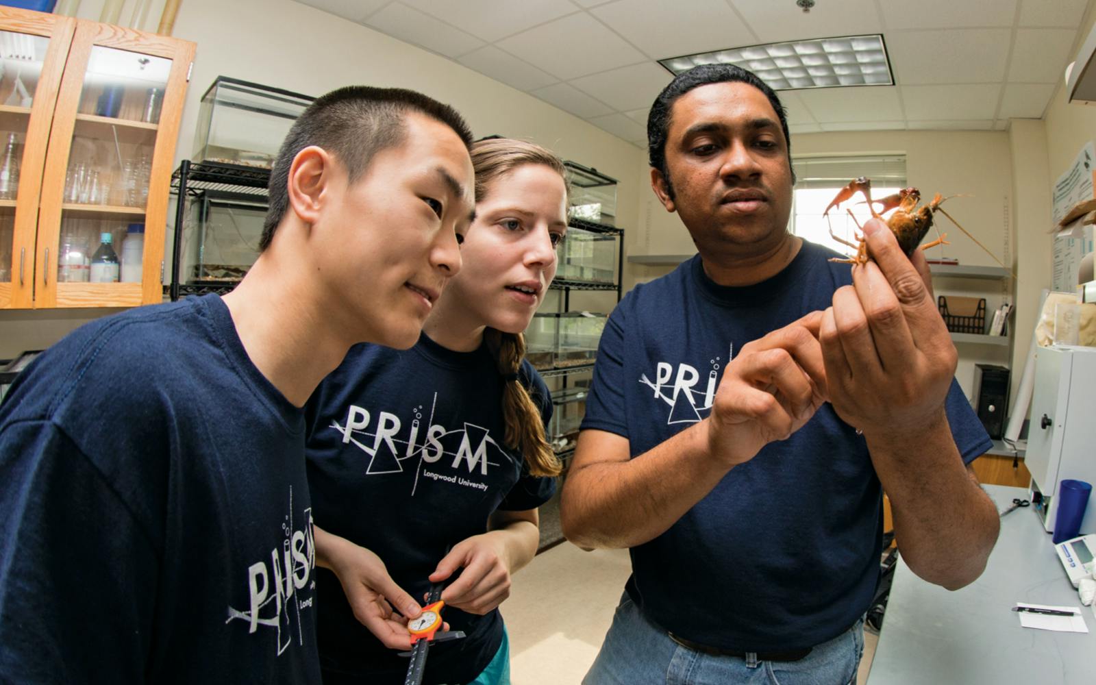 Students in a lab