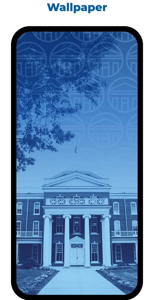 Download Phone Wallpaper