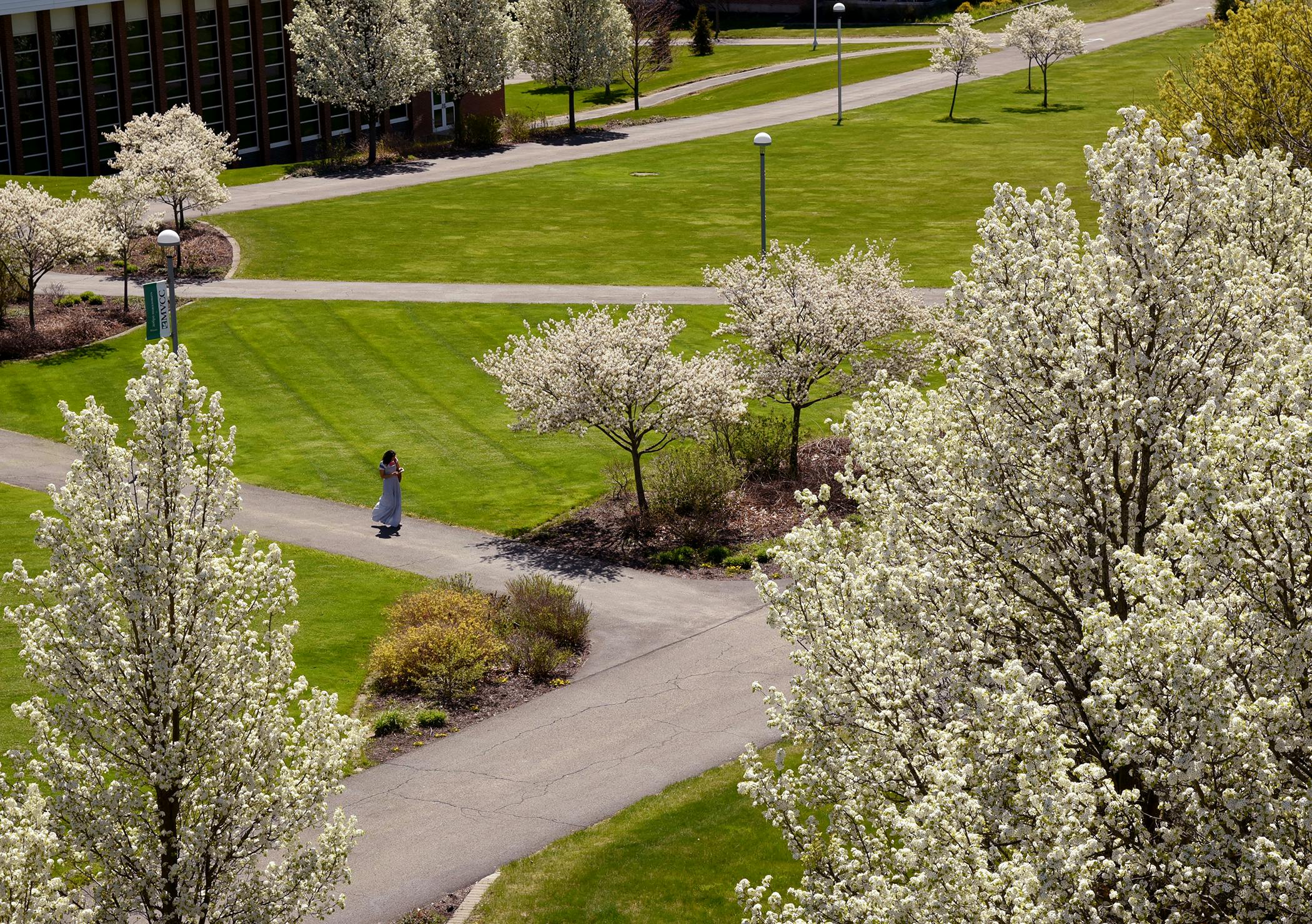 elm-pg-billboard-form spring quad3