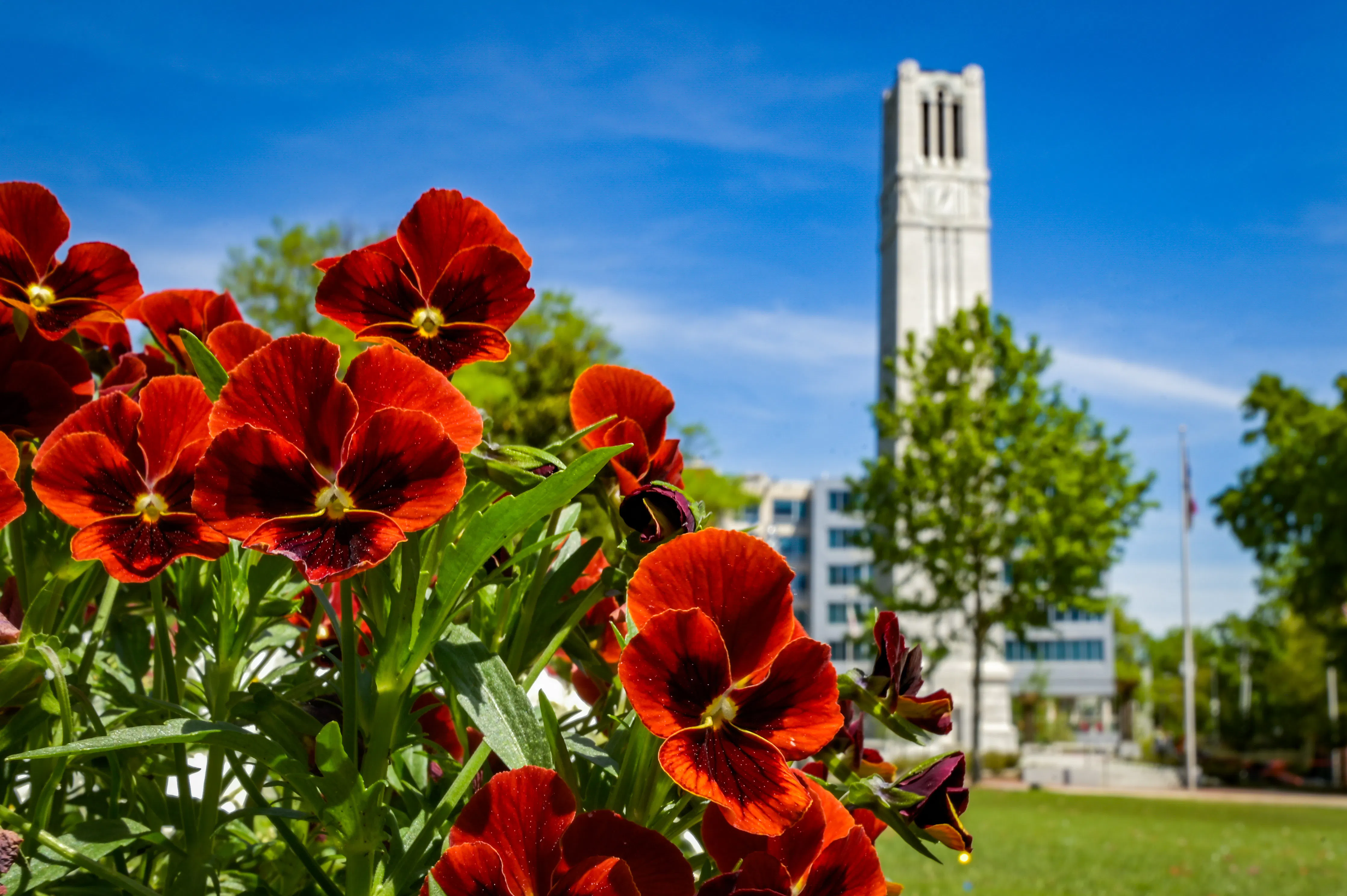 Memorial Belltower next to flowers in bloom