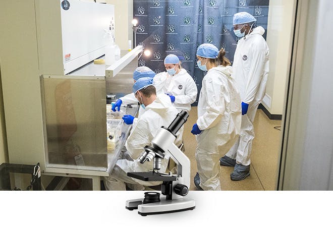 Students work together on an undergraduate lab research project.