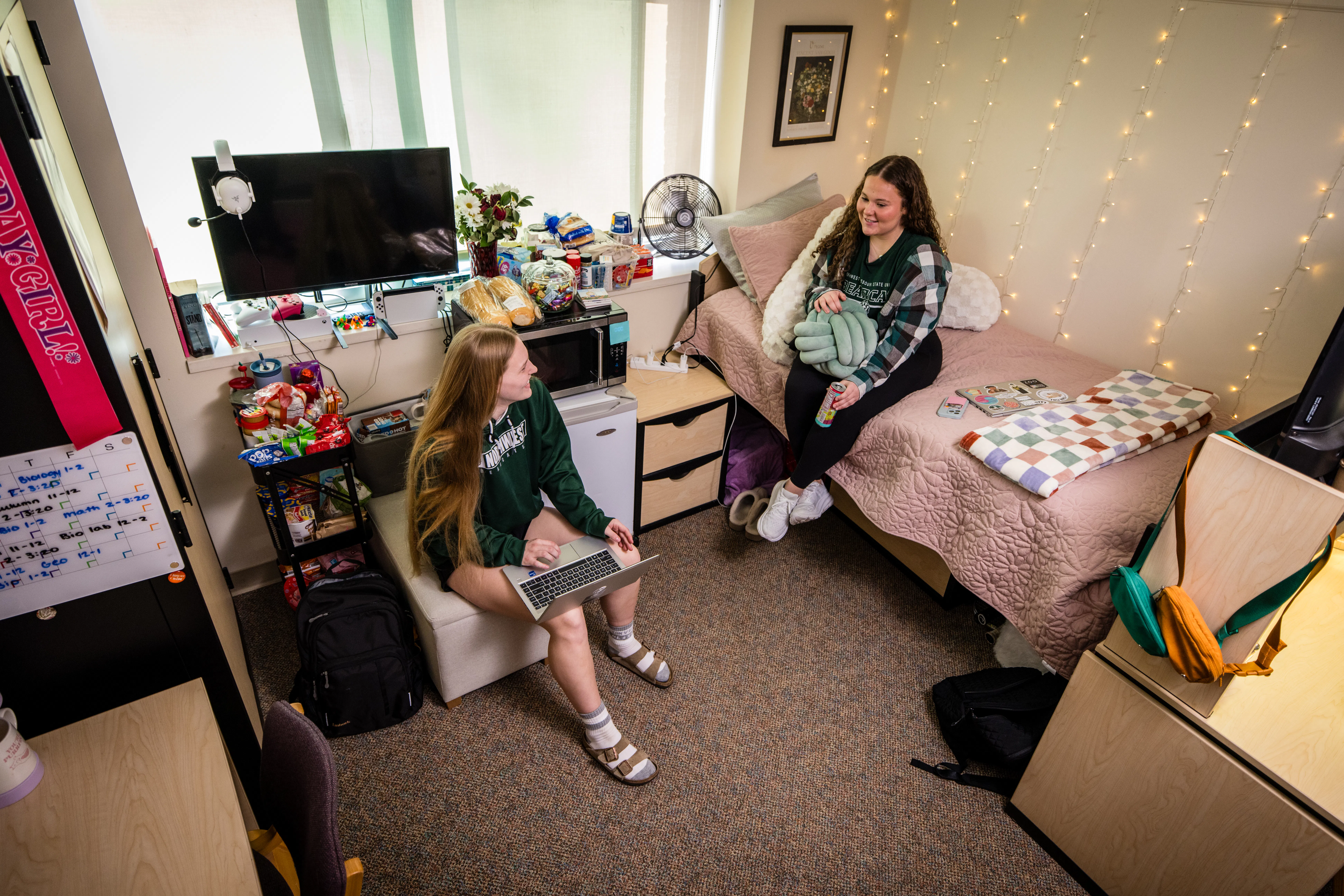 Meet Your Roommate Webinar