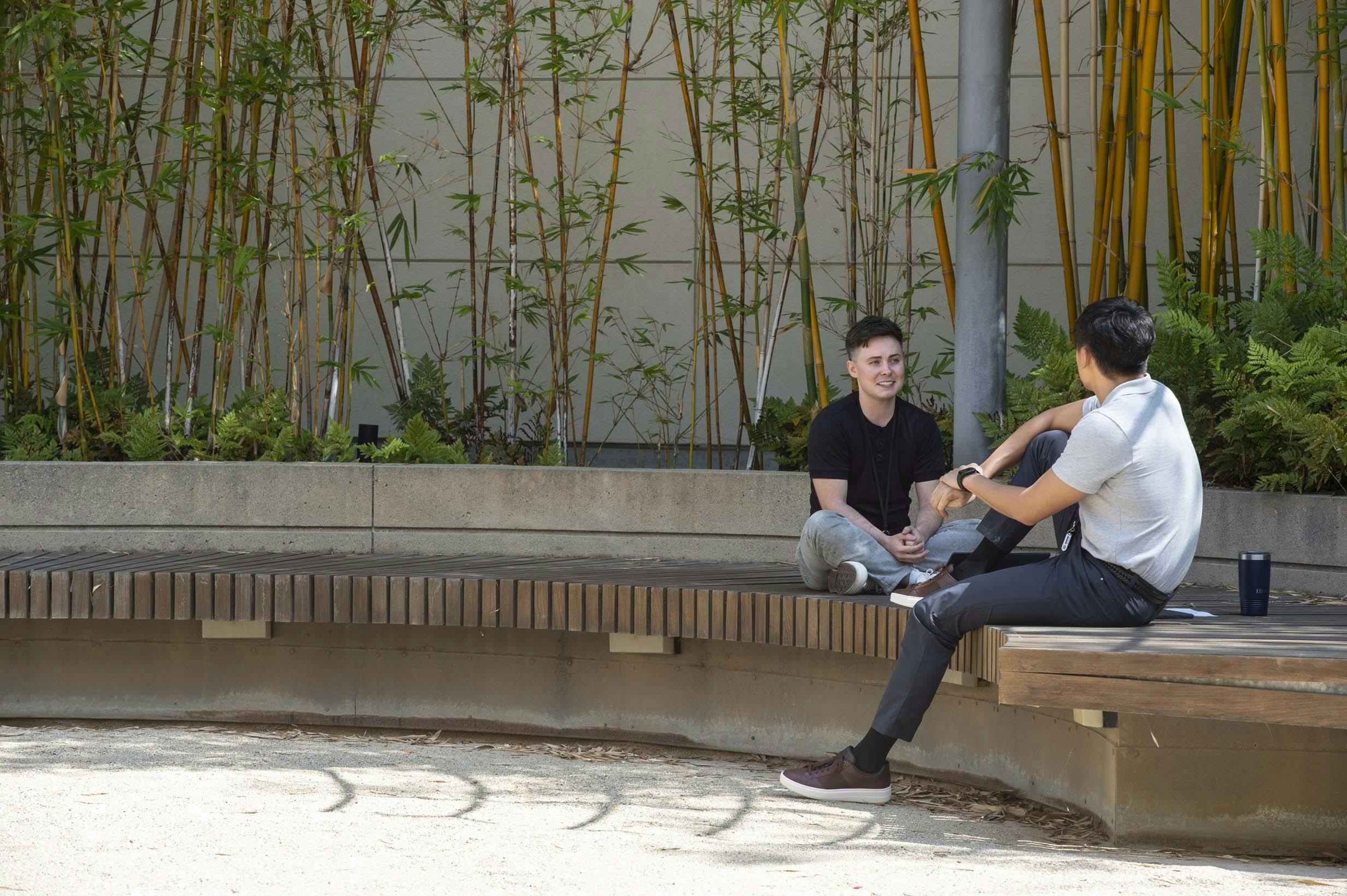 Students work on an assignment in the courtyard