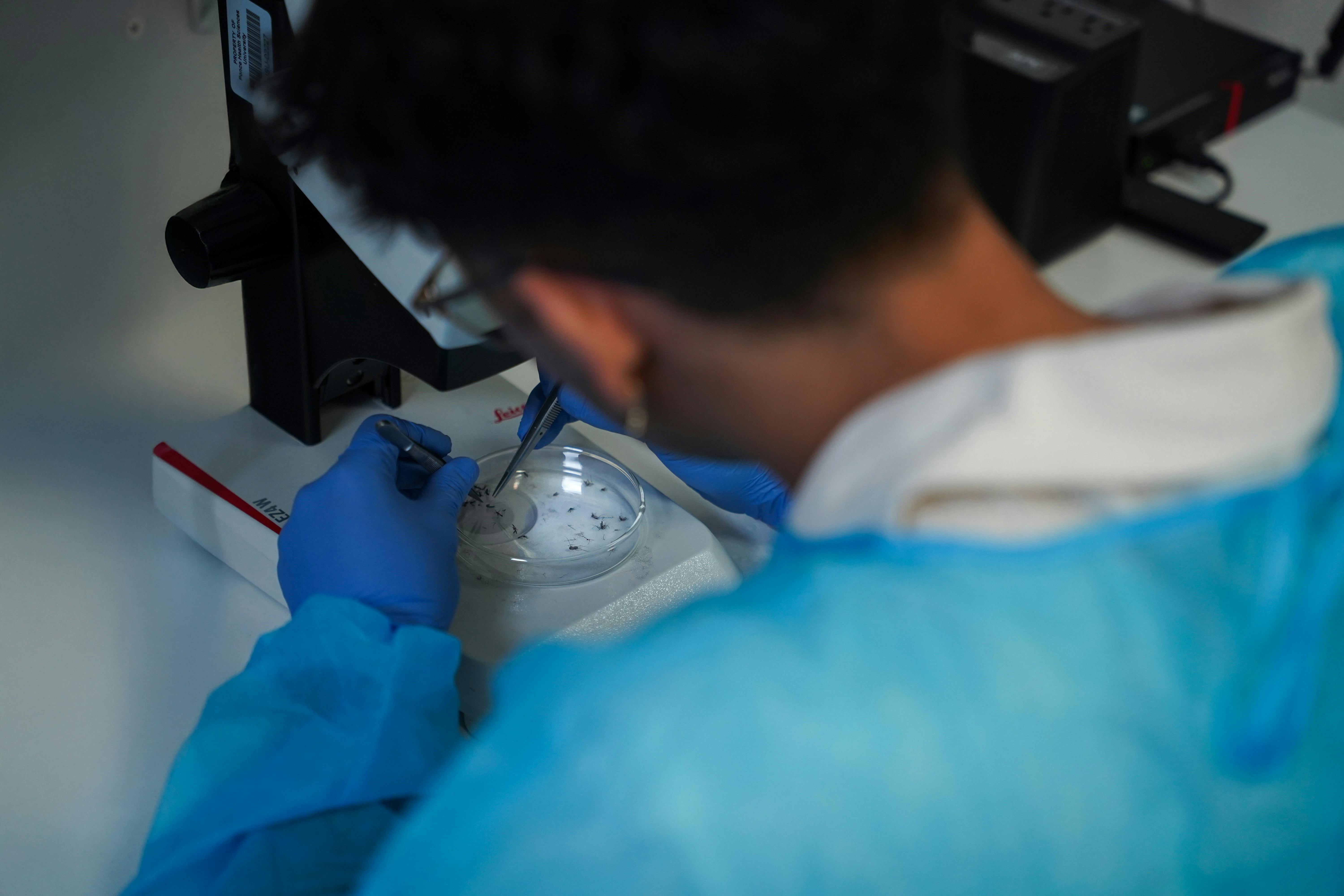 Docentes y educadores