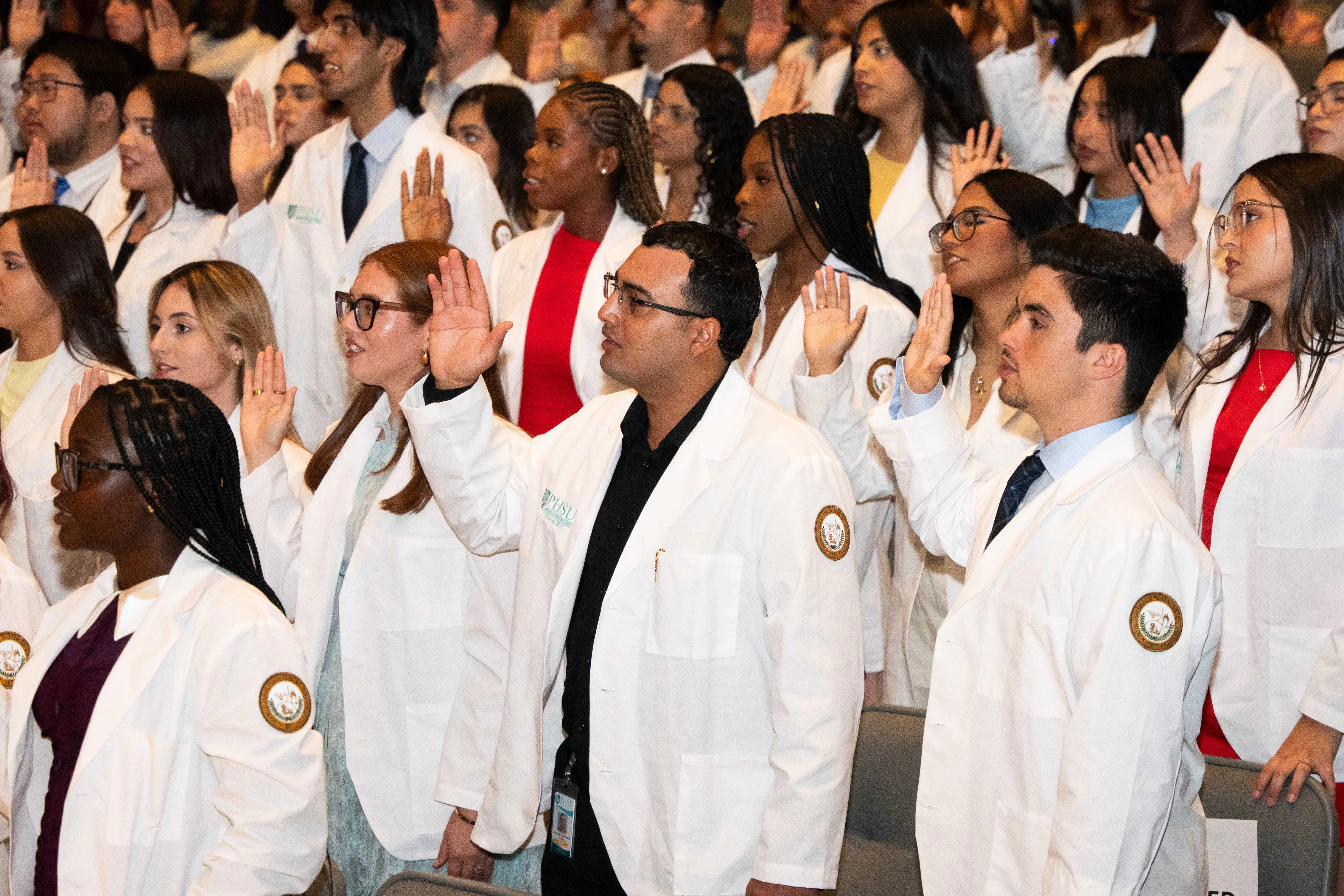    Building a Competitive Medical School Application