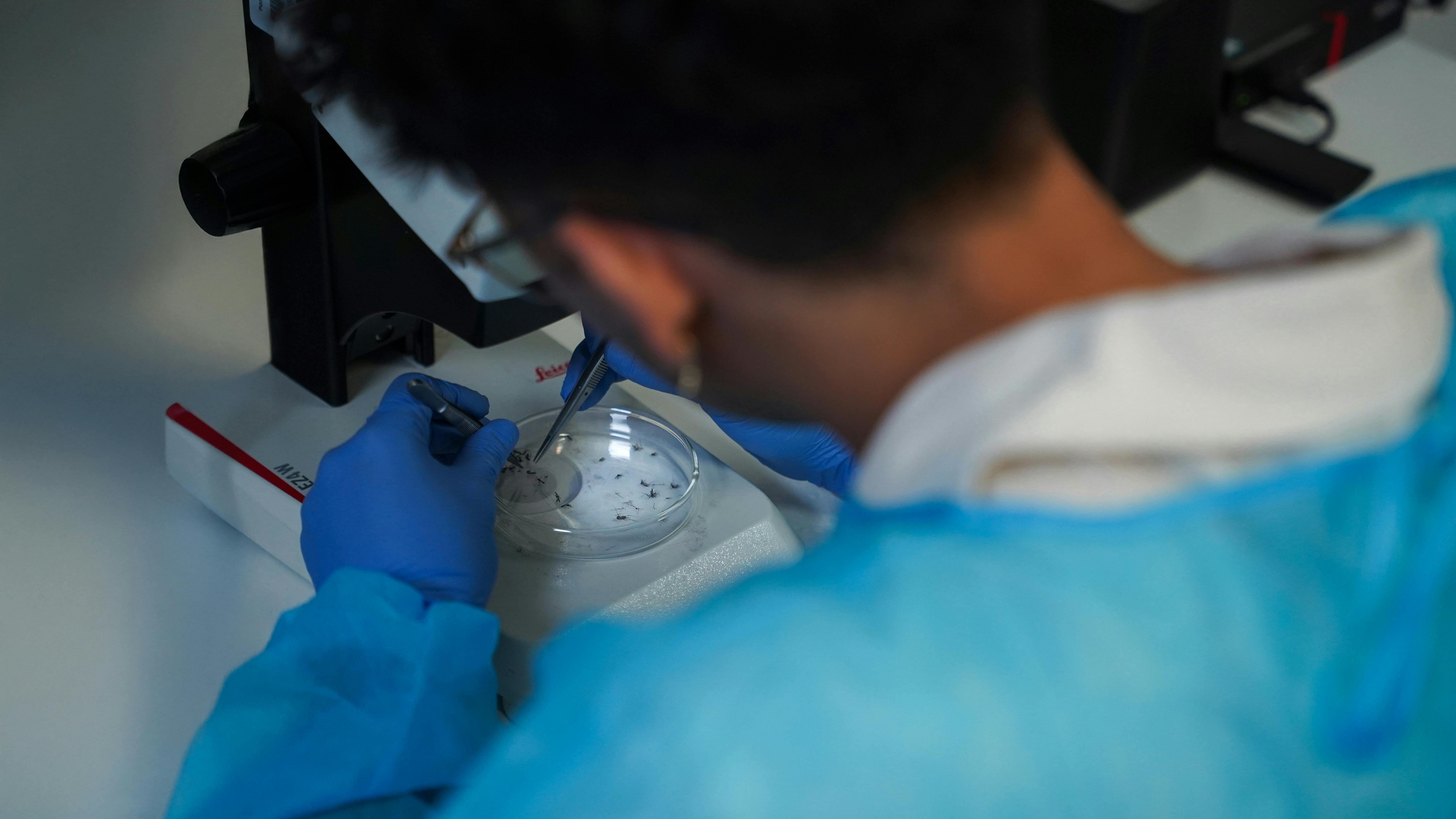   Public Health Program