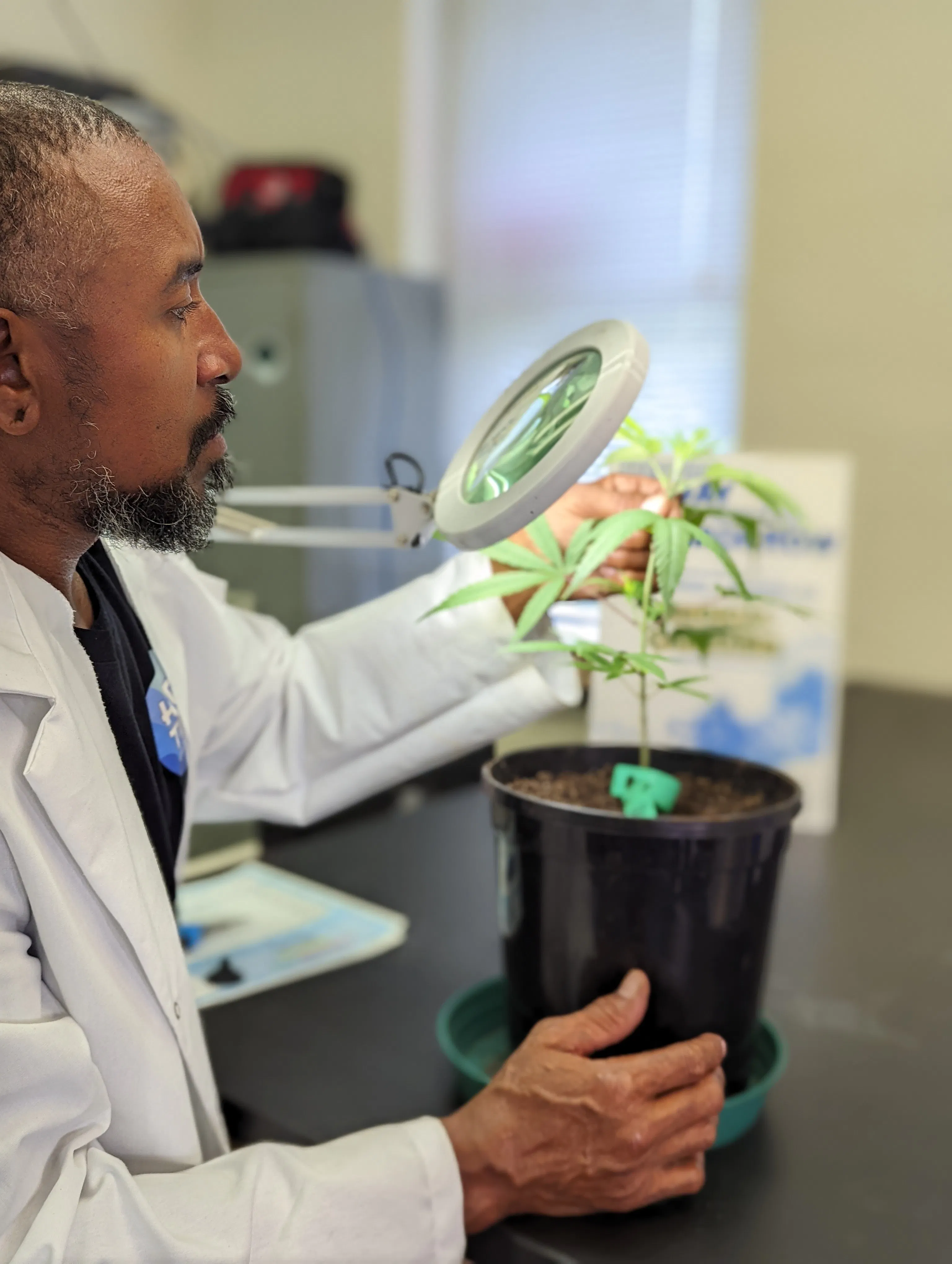 Virtual Future-Focused Programs (Psychology, Business, Cannabis) Open House - June 24, 2026