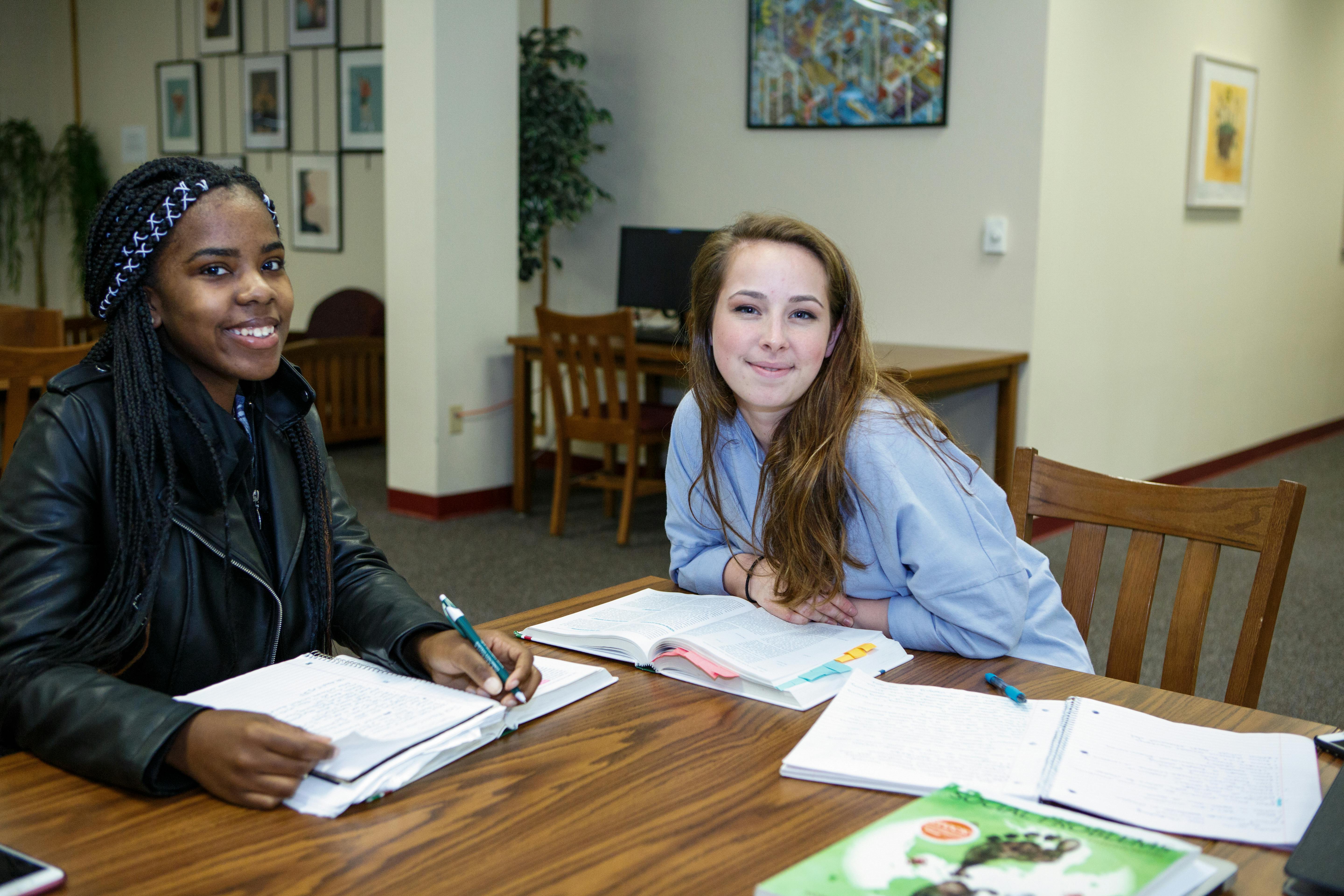 elm-pg-billboard-form academic support