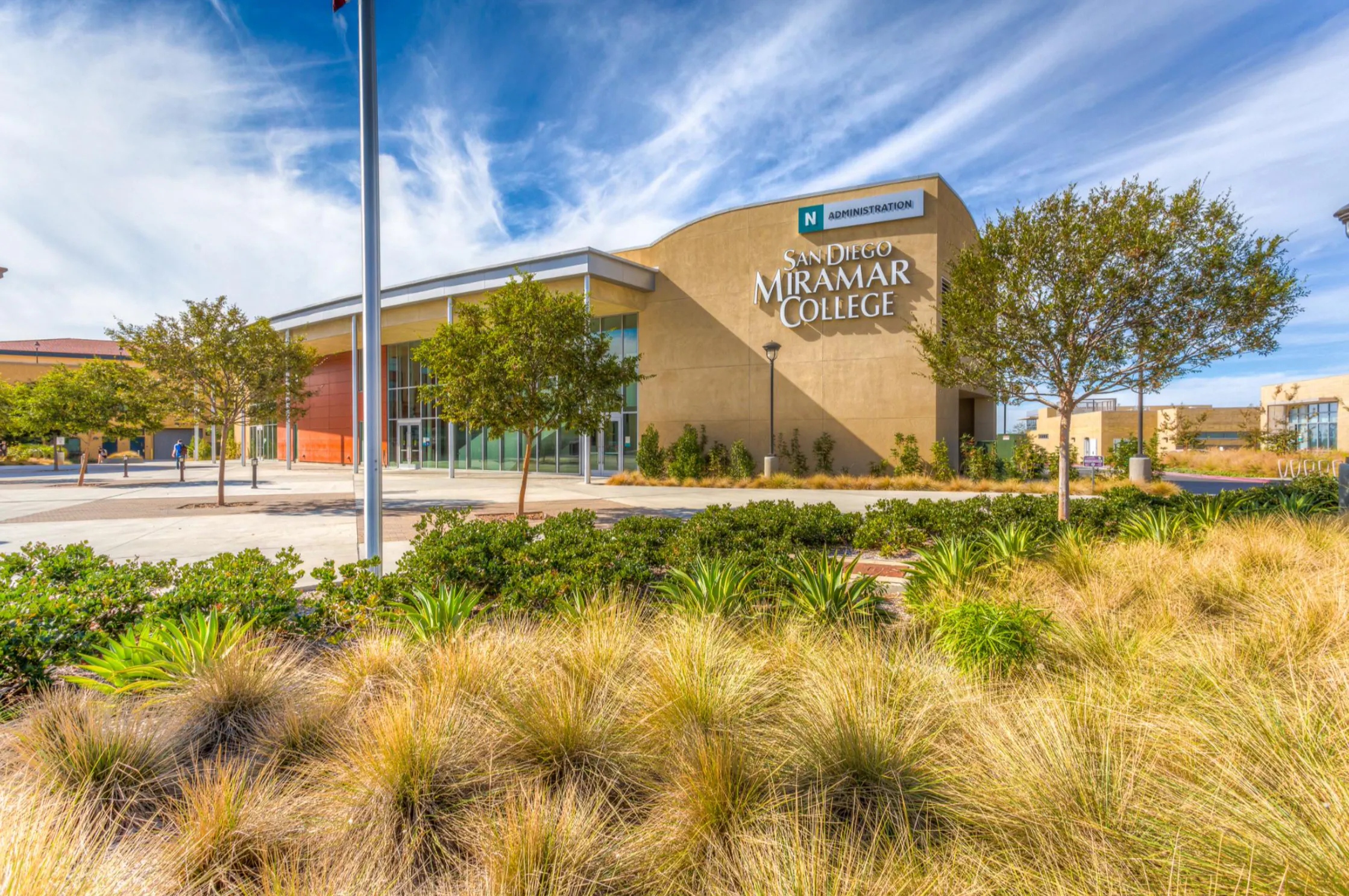 The Entrepreneurial Journey: Wins, Challenges and Lessons Learned