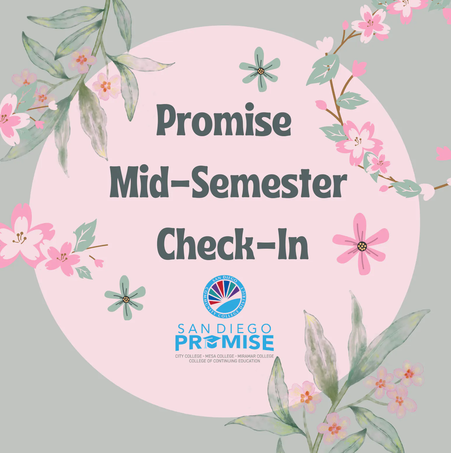 SPR26 Promise Mid Semester Check-In
