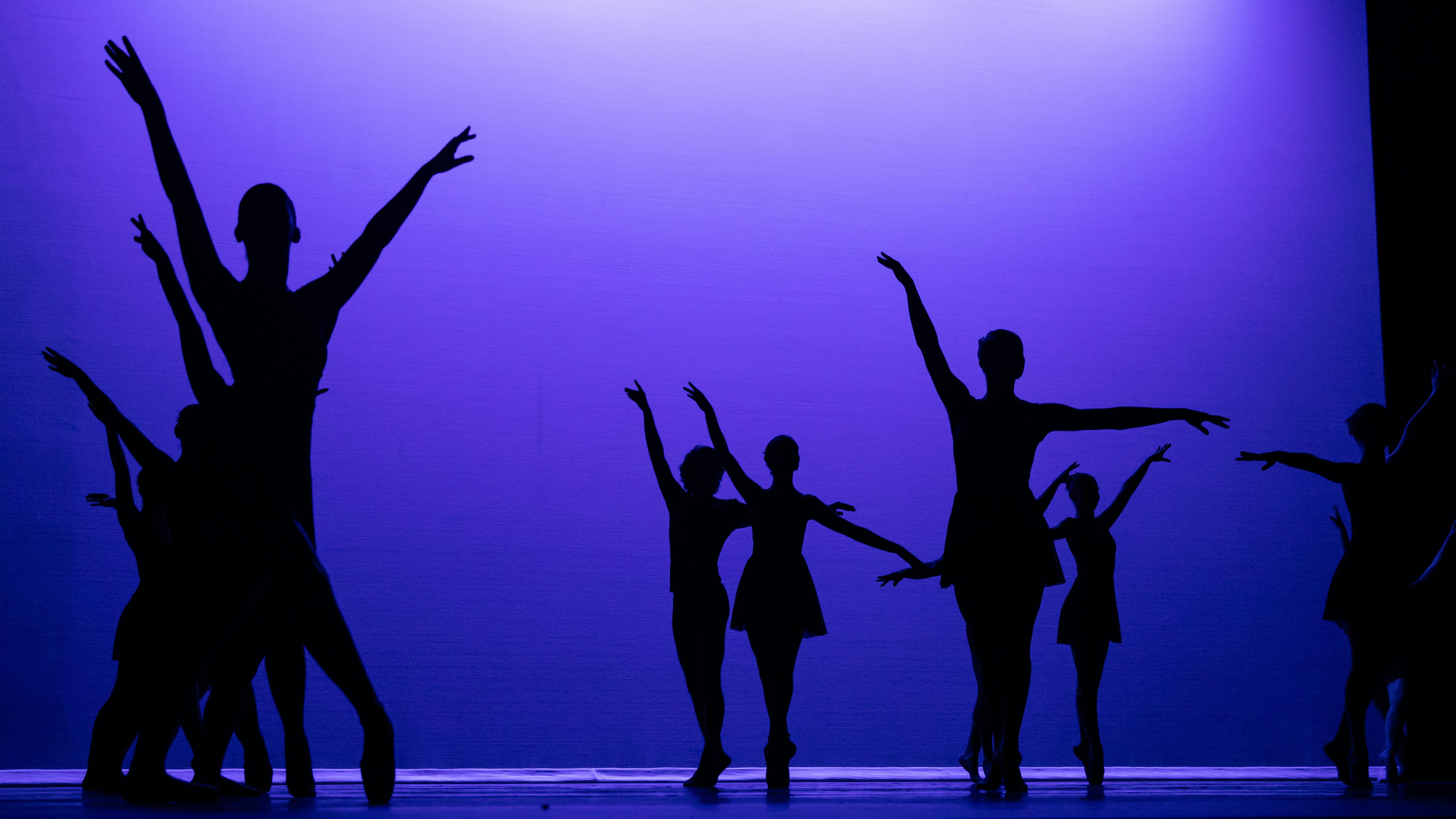 elm-pg-billboard-cta 2024-Winter-Dance-Collection-KL-0215-046