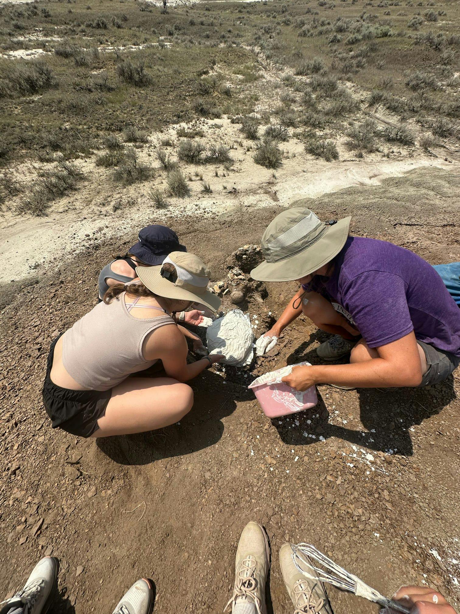 2025-STEM-Environmental-science-geology-RF-0918-3