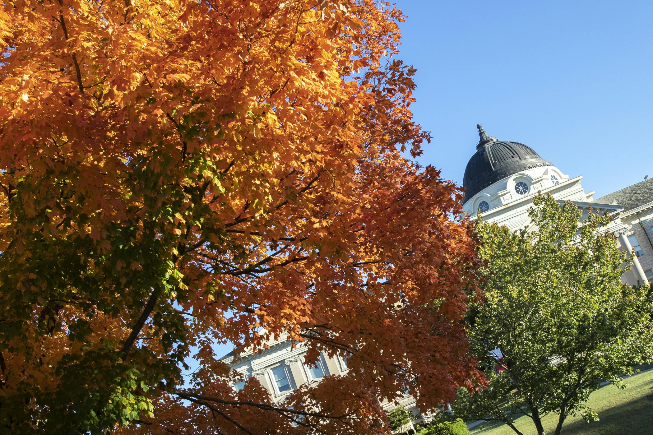 Main Campus Tour (Fall 2021)