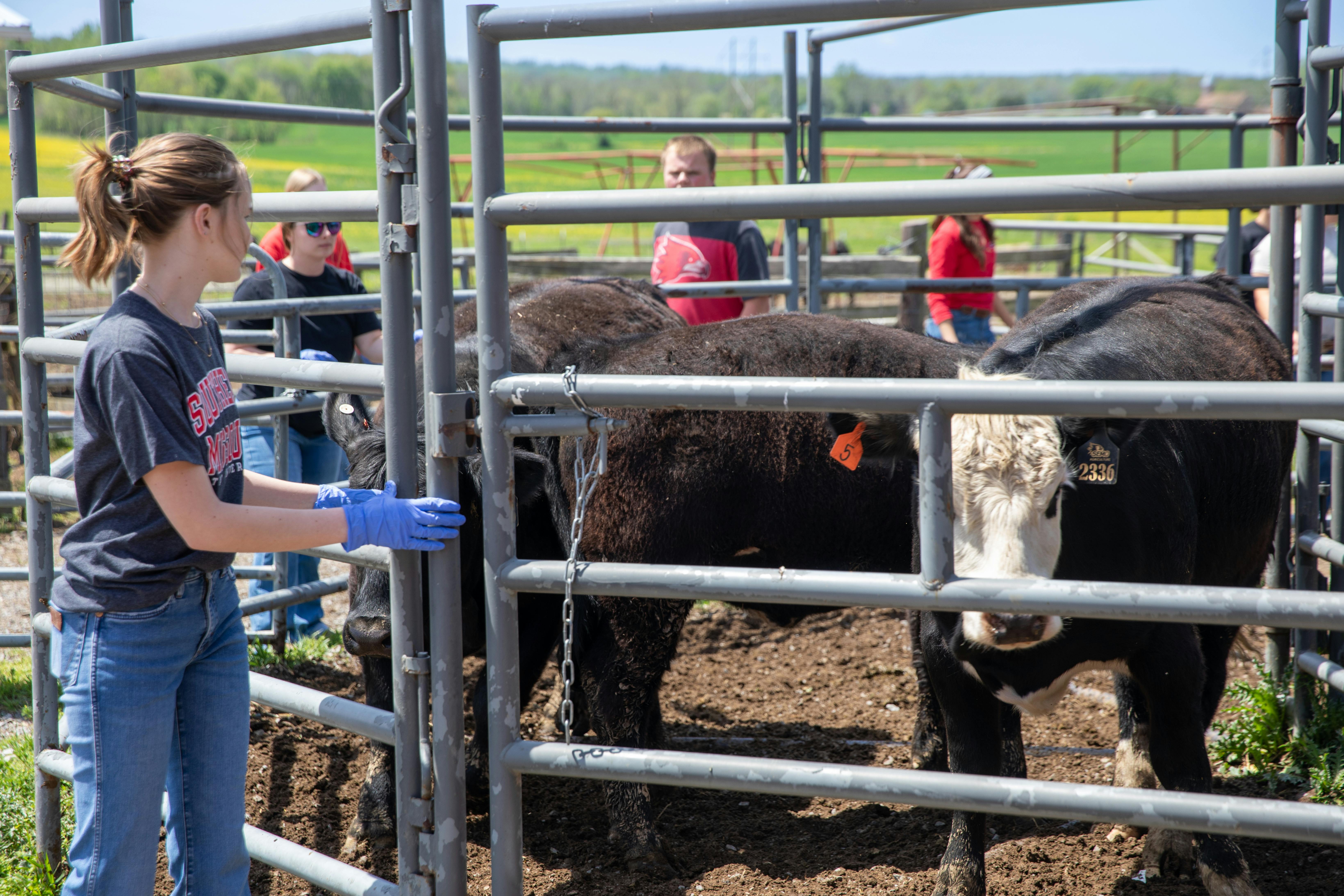 252 Acres Dedicated to Students Ready to Advance Agriculture