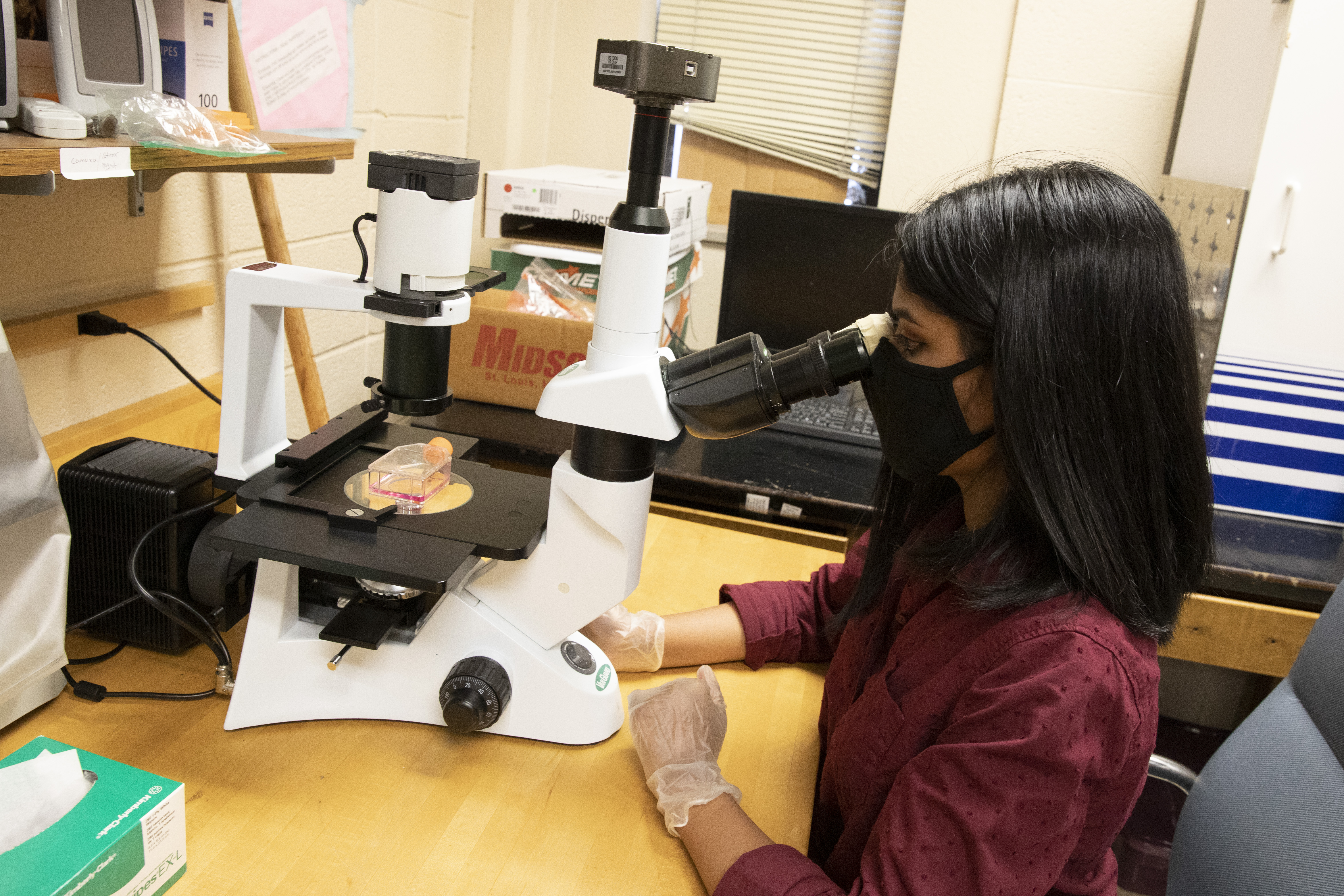 A student wearing a mask examines something under a microscope.