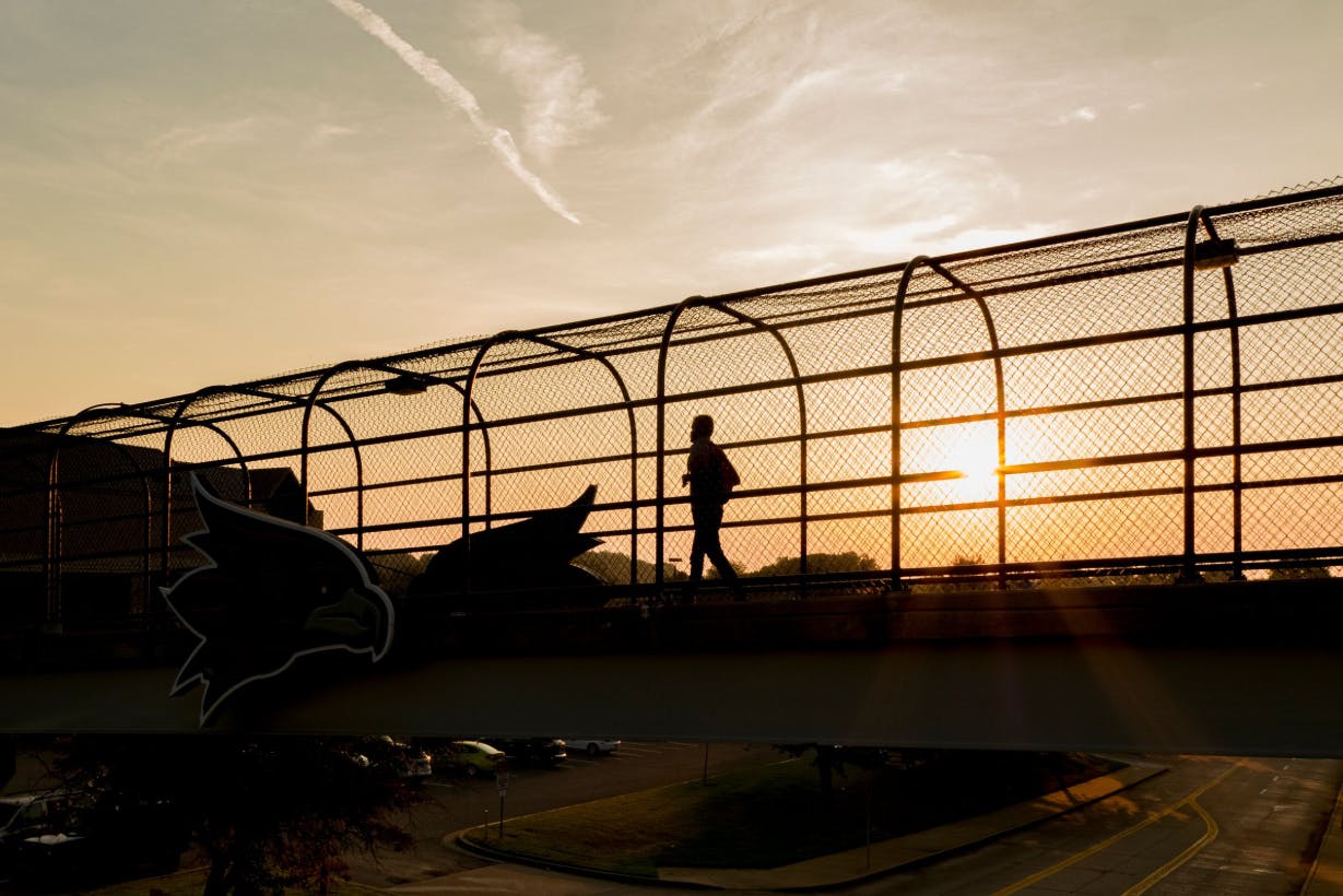 Screenshot 2025-07-30 164316