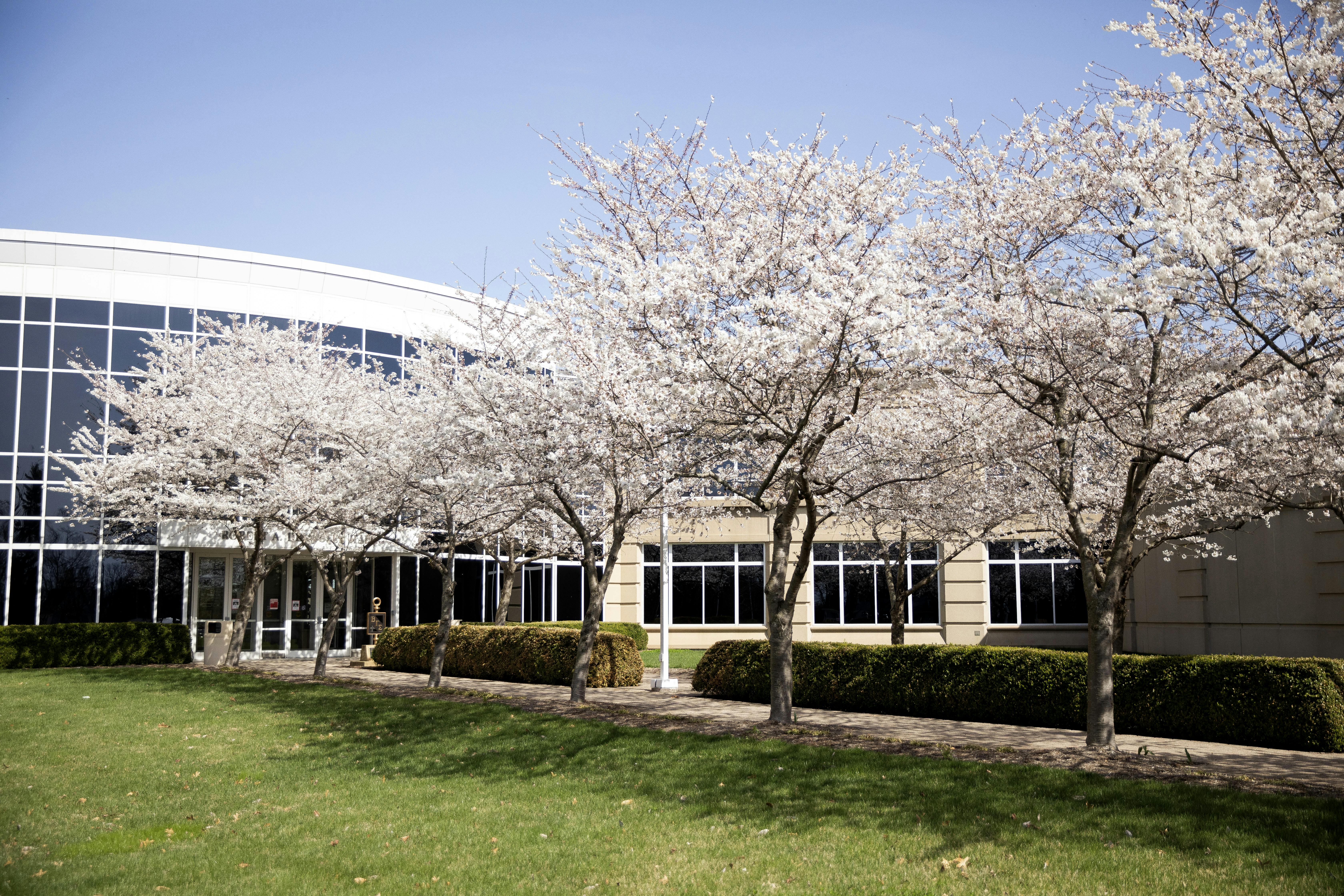 / GROUNDBREAKING ACADEMICS