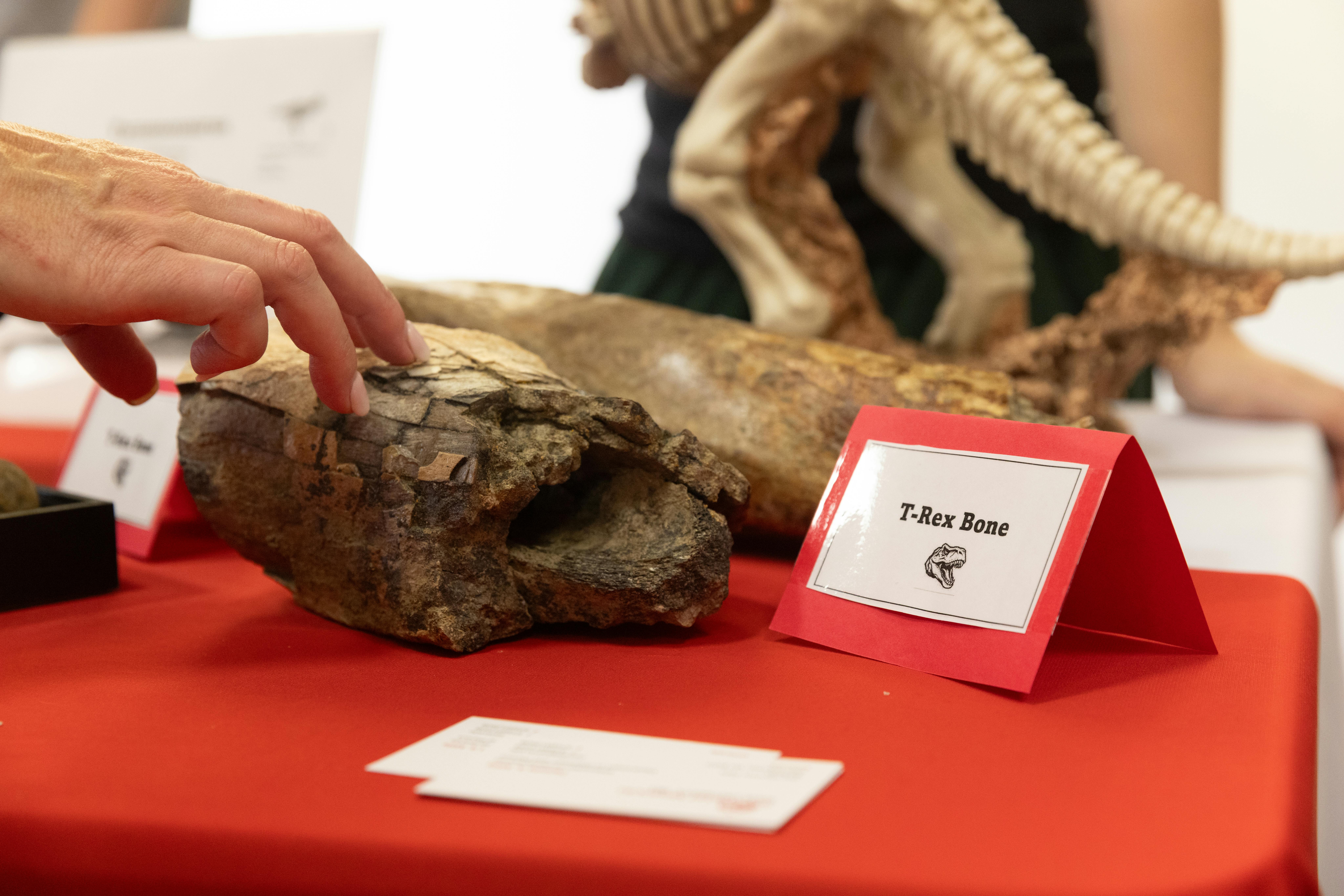 Start reading their published work.