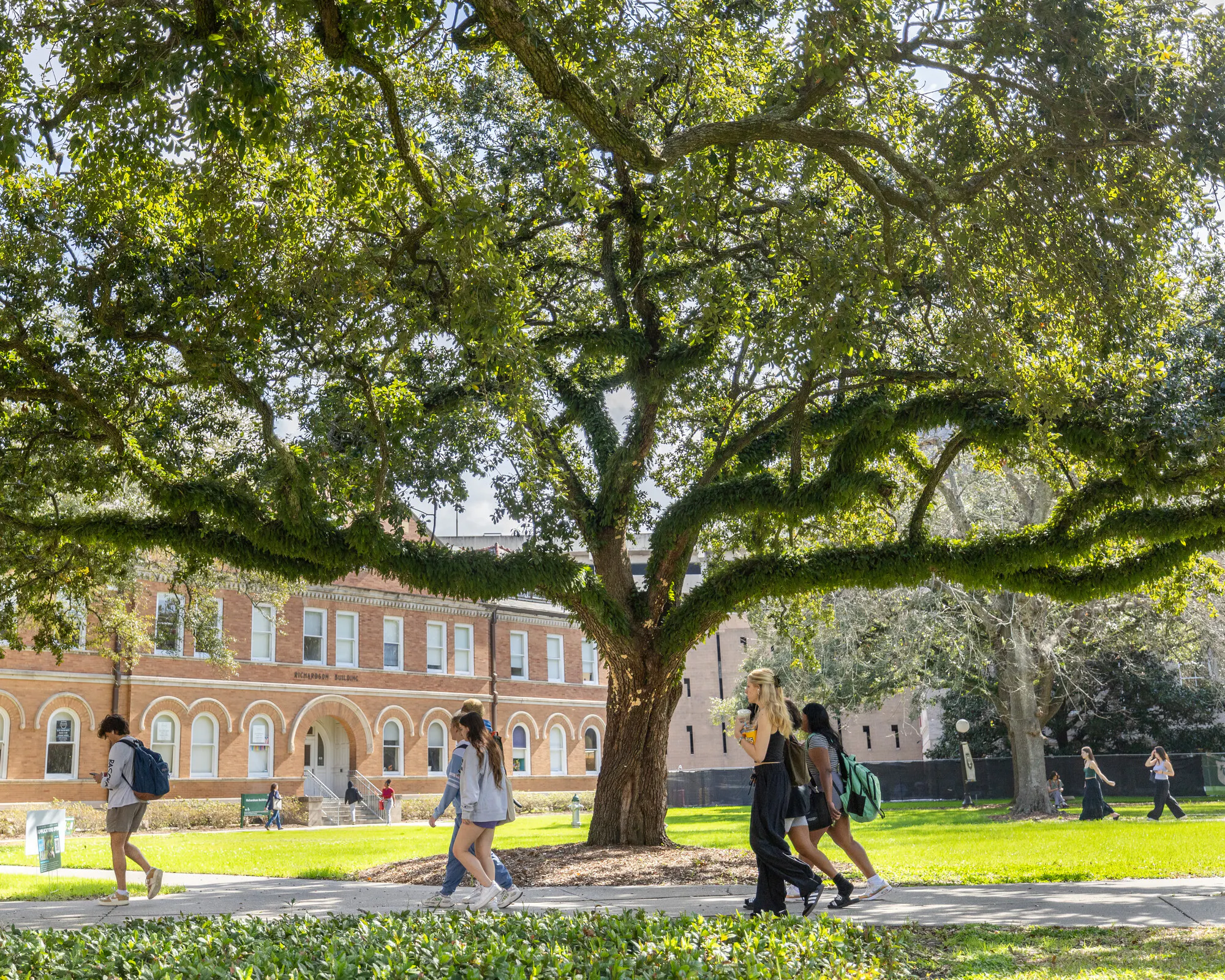 Students walk on paths beneath a large live oak tree in front of a red-brick academic building on a sunny campus lawn.