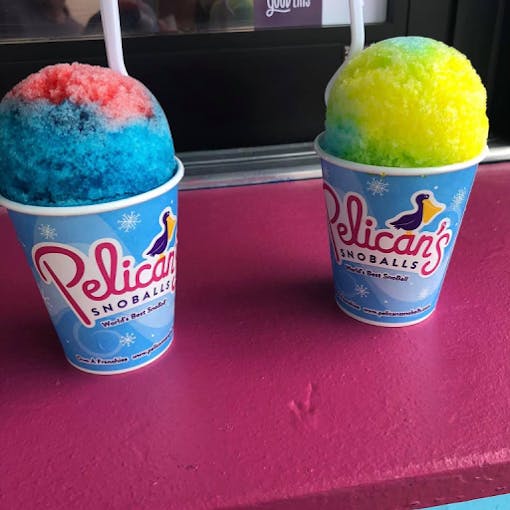 Mascot Reveal & Pelican Snoball-OCH