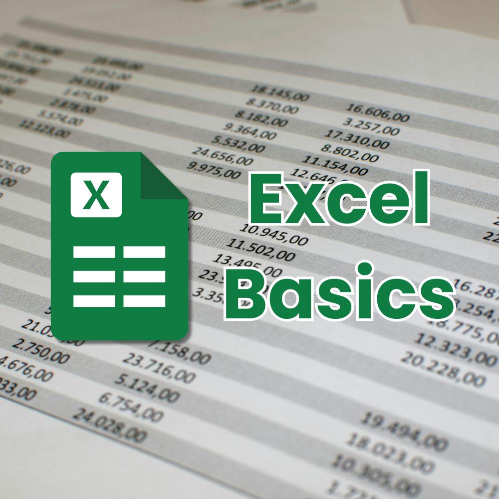 Excel Basics