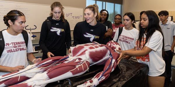 Doctor of Physical Therapy Virtual Information Session