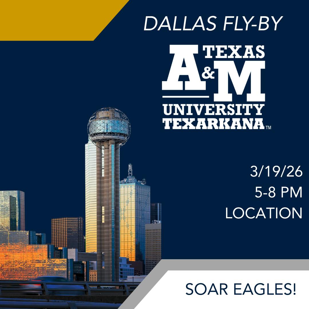Eagle Fly By-DFW