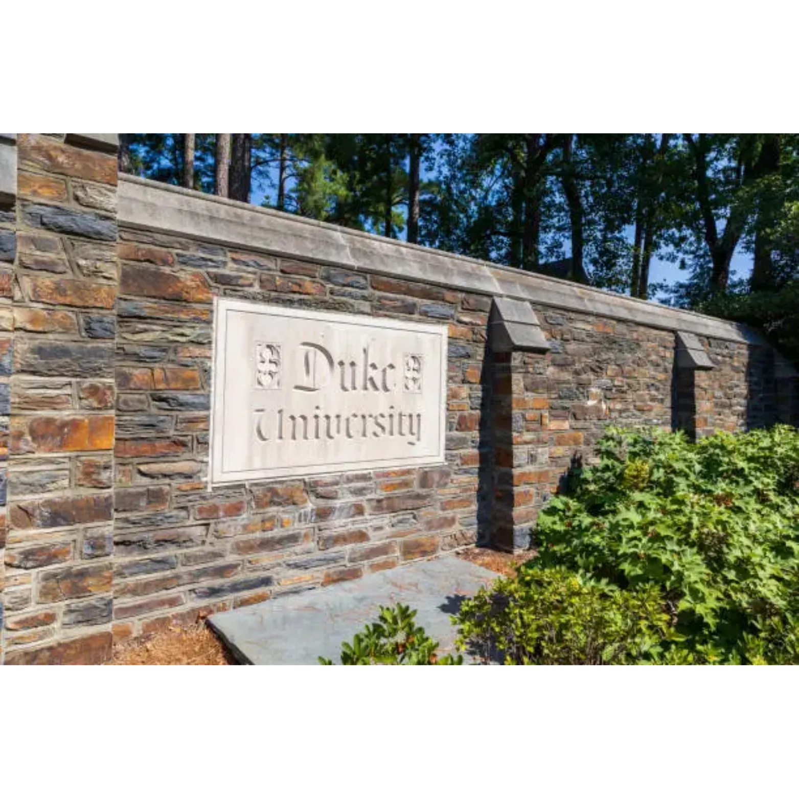 Duke’s Quiet Scrubbing of DEI