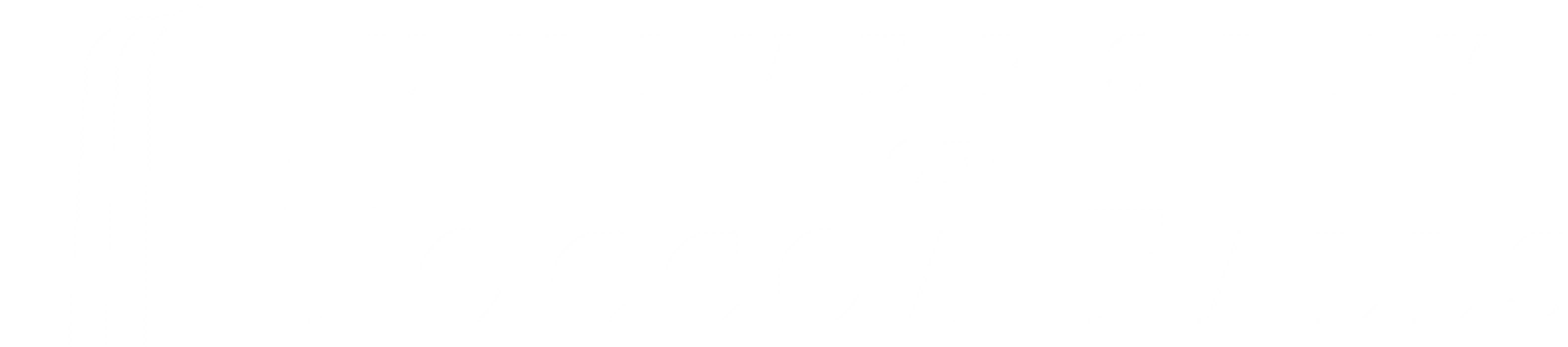 University of Toccoa Falls logo