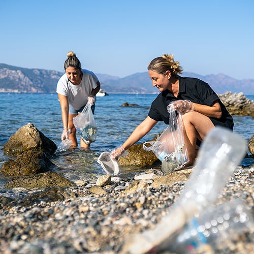 Shaping Ocean Futures Through Everyday Action