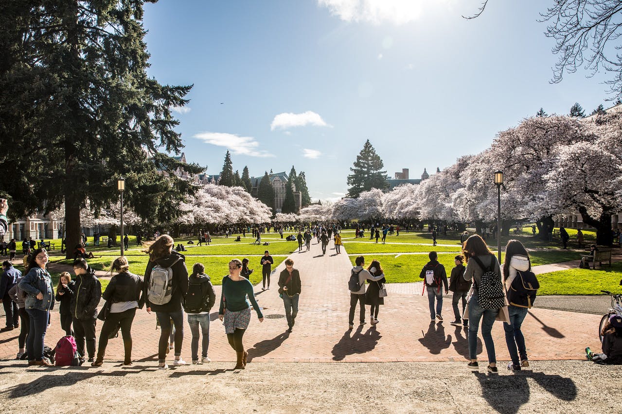 Admitted Student Advising