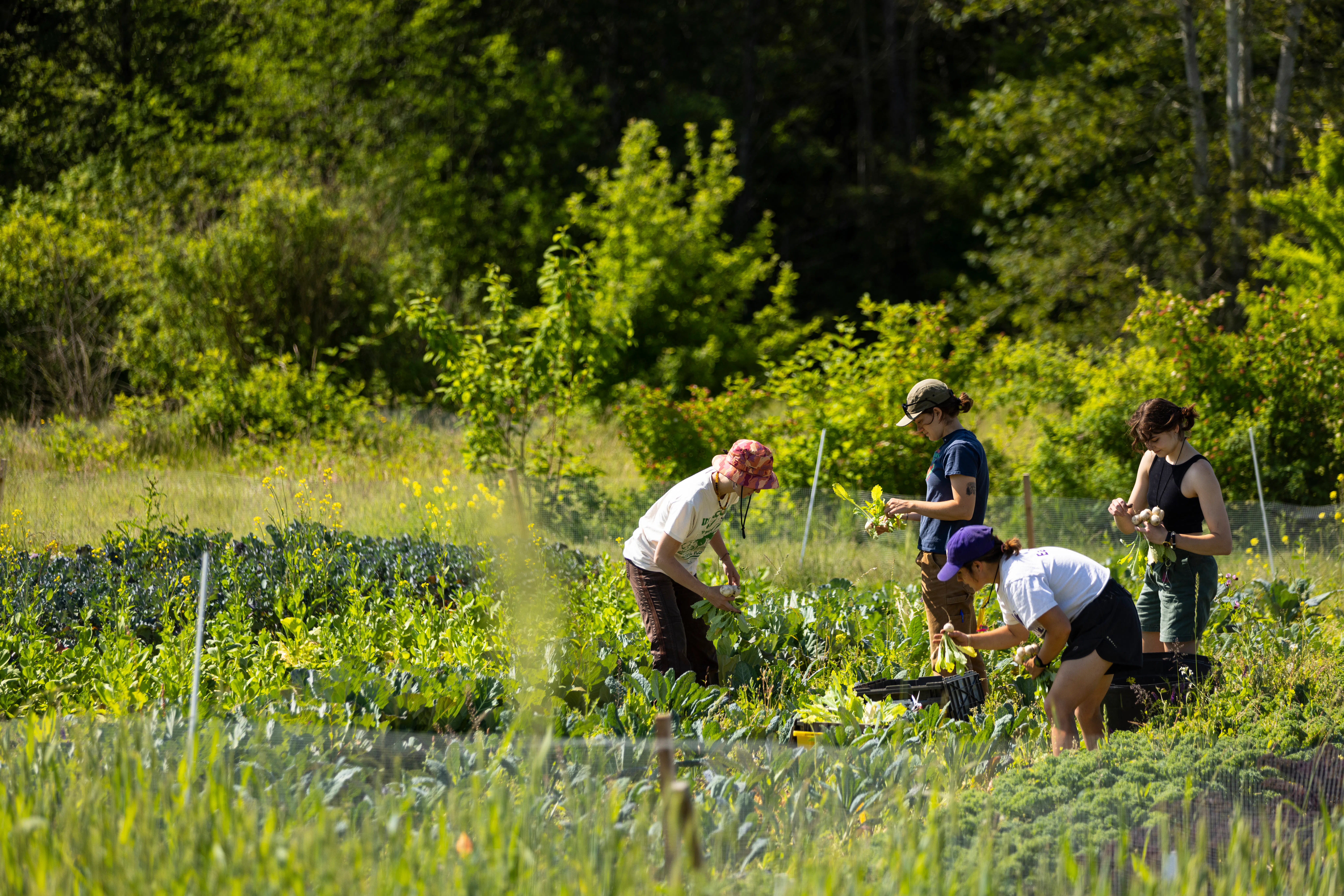 Climate Justice is Social Work