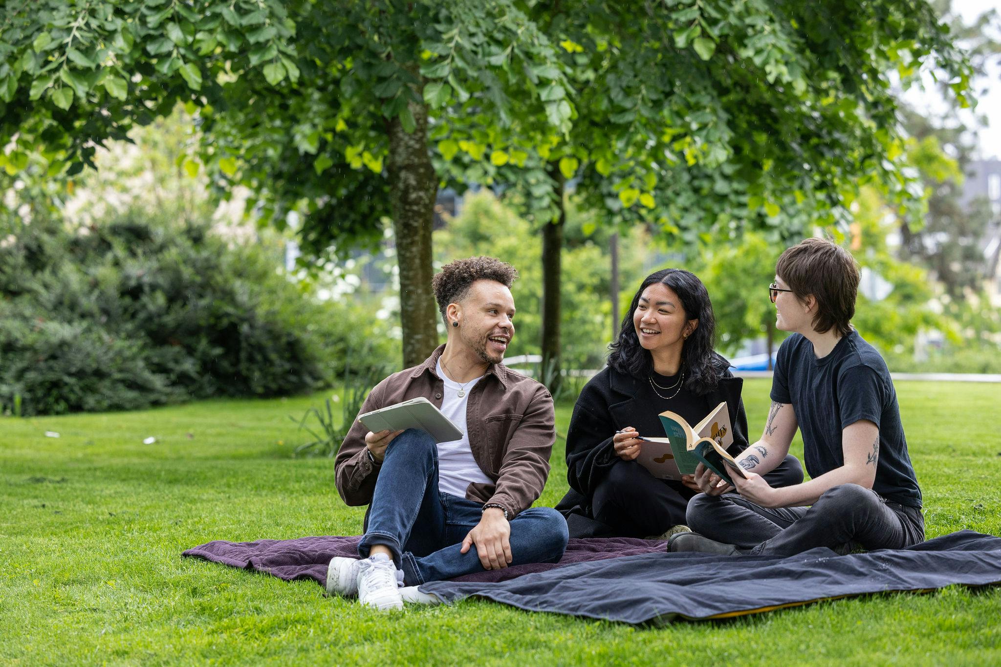 Shaping Systems in 2025: Social Work’s Role in Driving Institutional Change