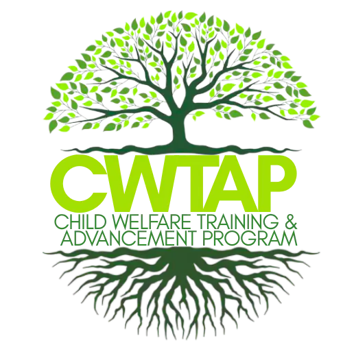 Introduction to the CWTAP Traineeship