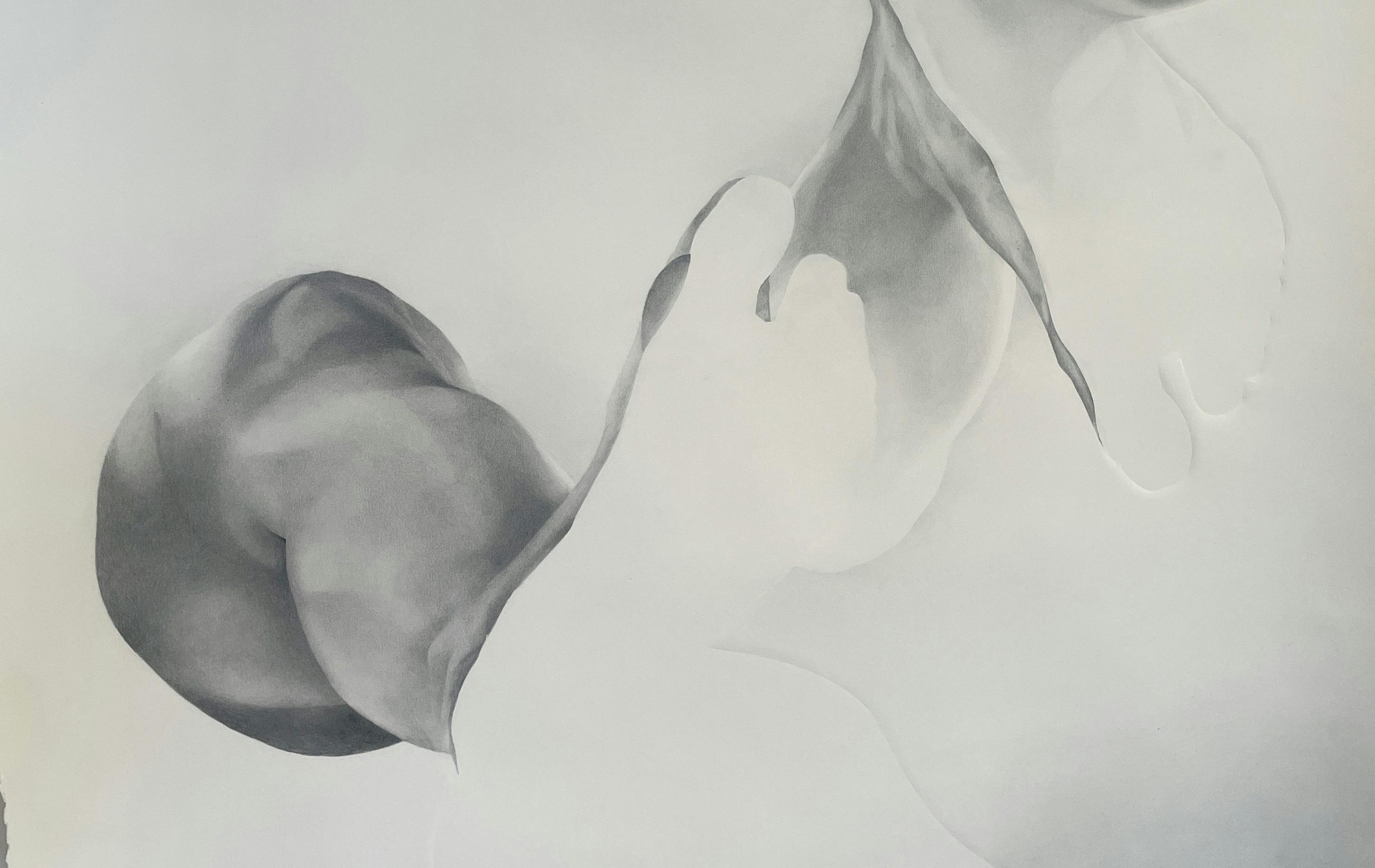 What If We Touched: A Solo Exhibition by Selina Wagner