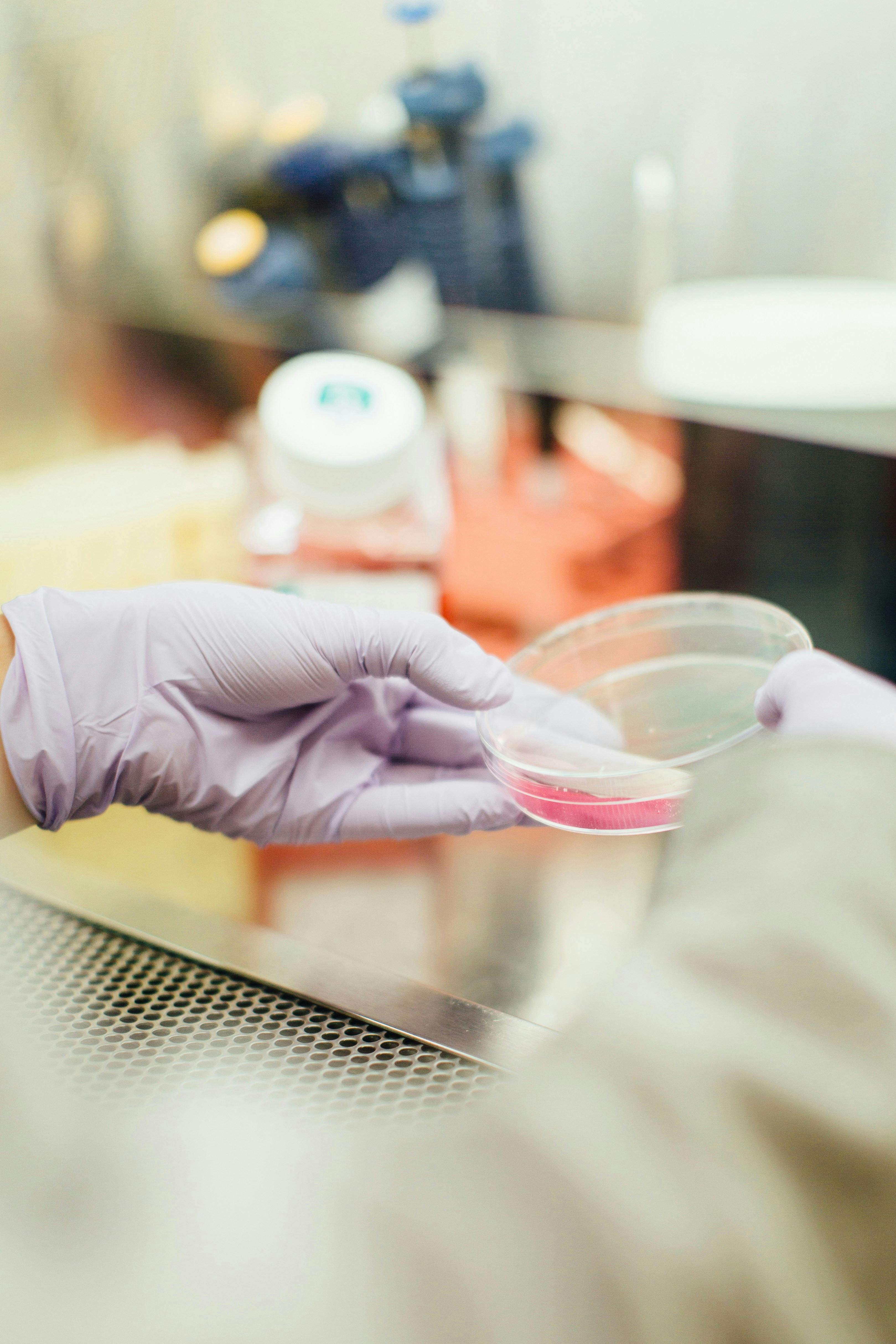 Two gloved hands holding a petri dish with a blurred background.