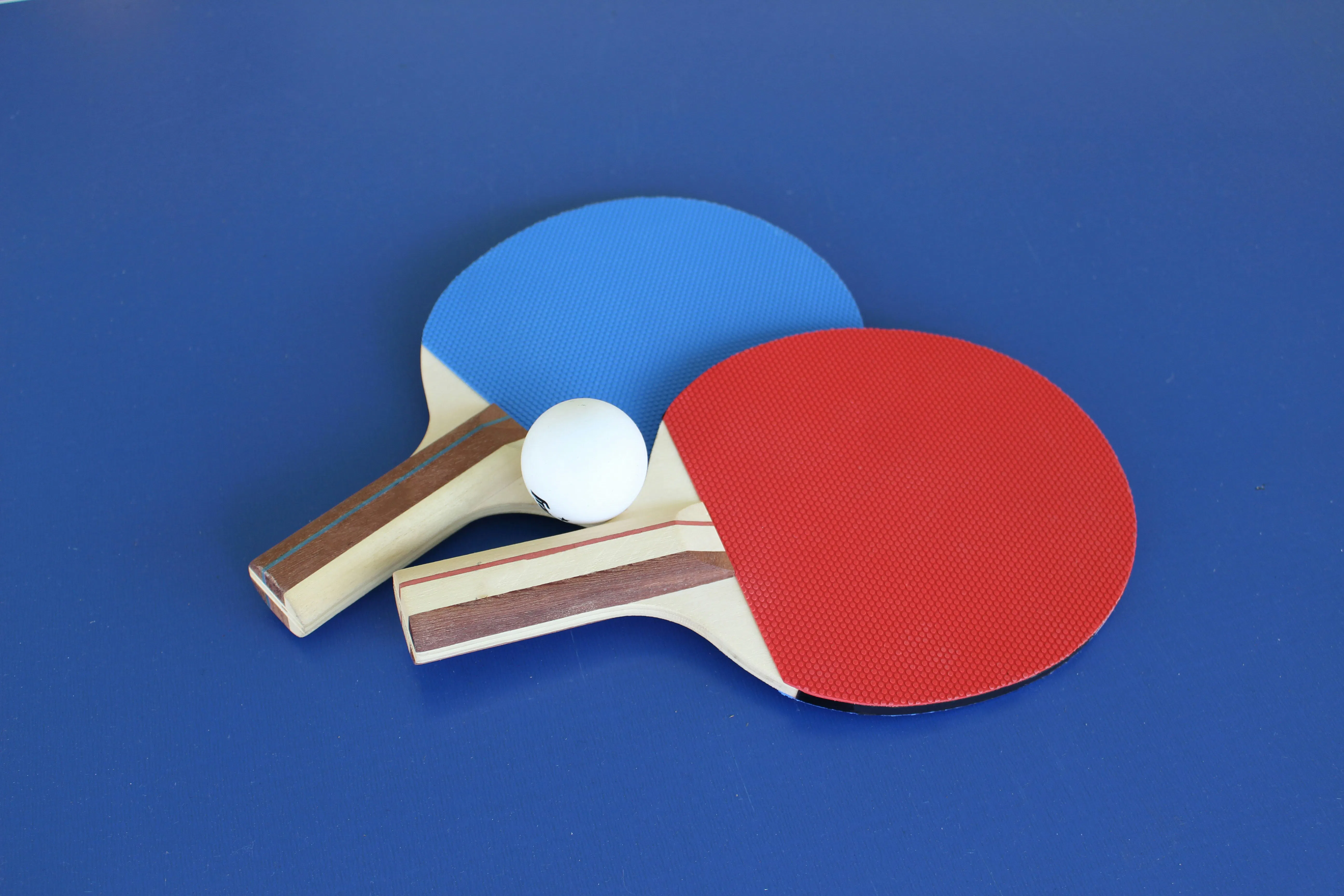 Underground Pirate Ping Pong Association (UPPPA) Meeting
