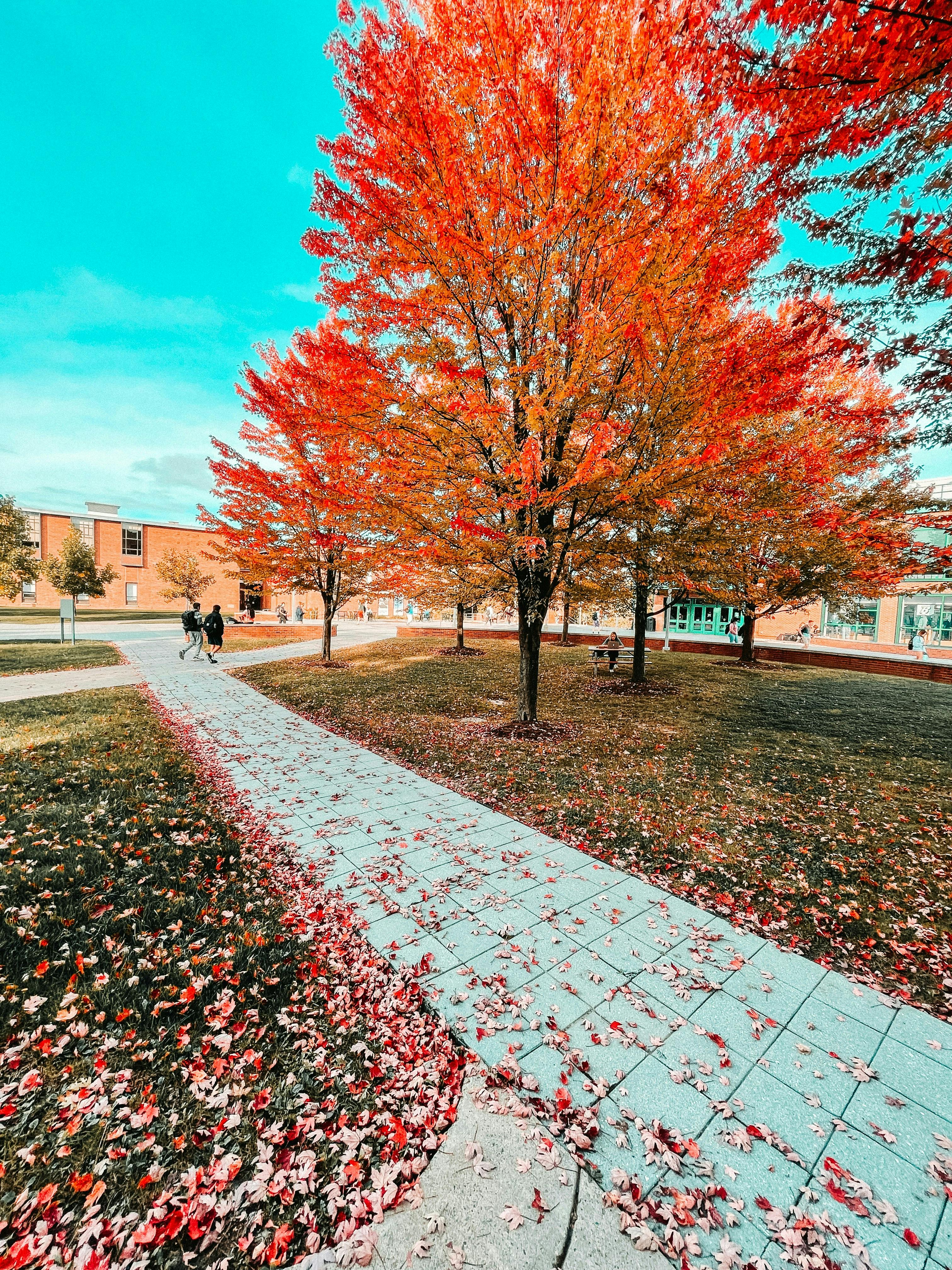 Fall 2025 - Term B Start Date