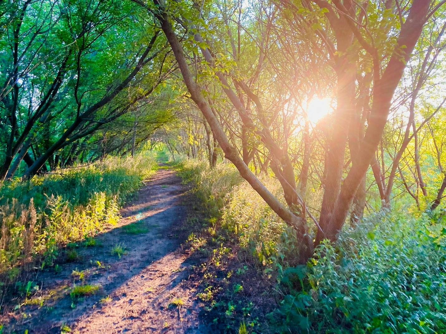 elm-pg-billboard-form Sabbath image