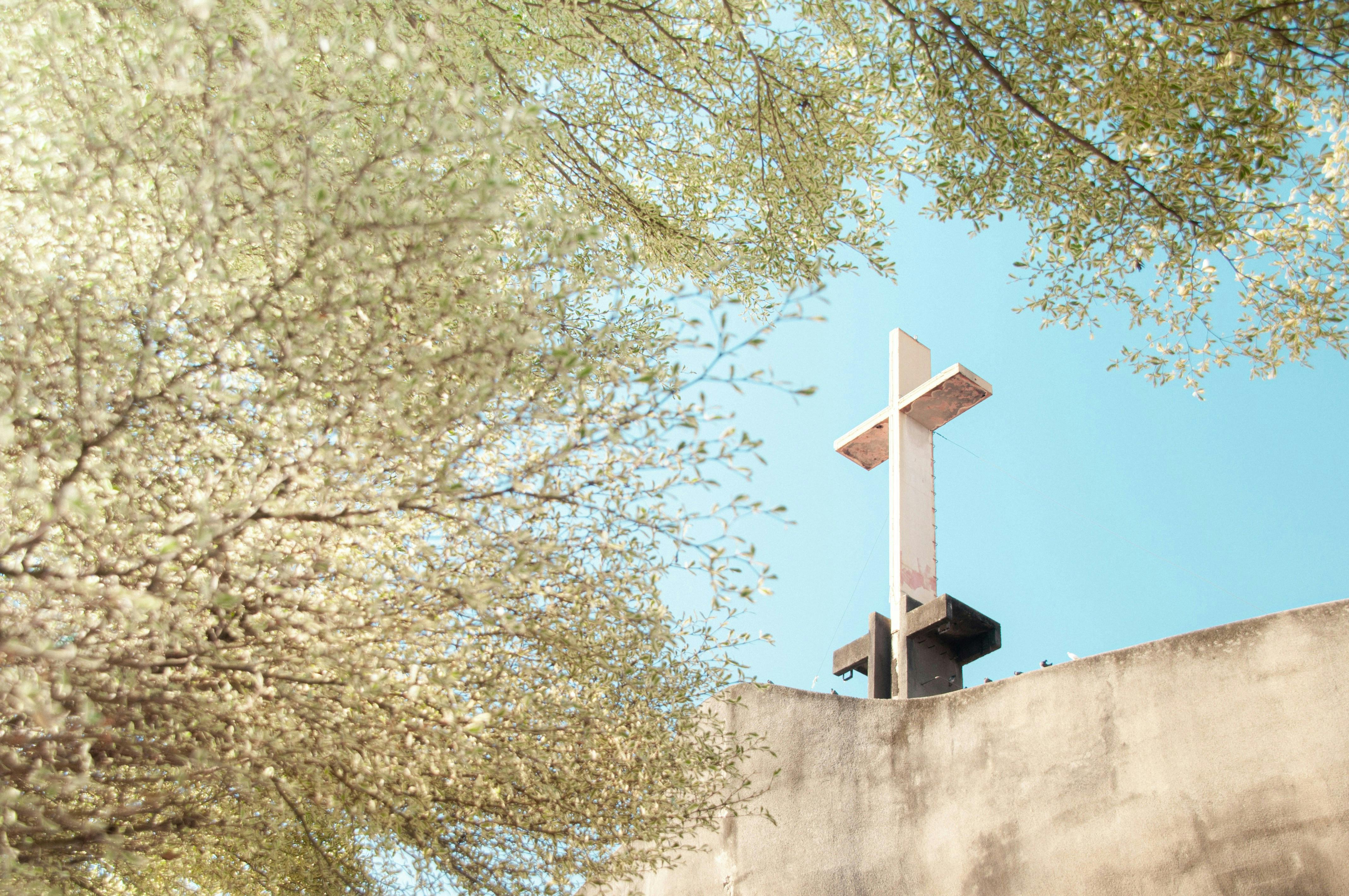 elm-pg-billboard-form andrew-sacriz-ne_jahjfo1w-unsplash