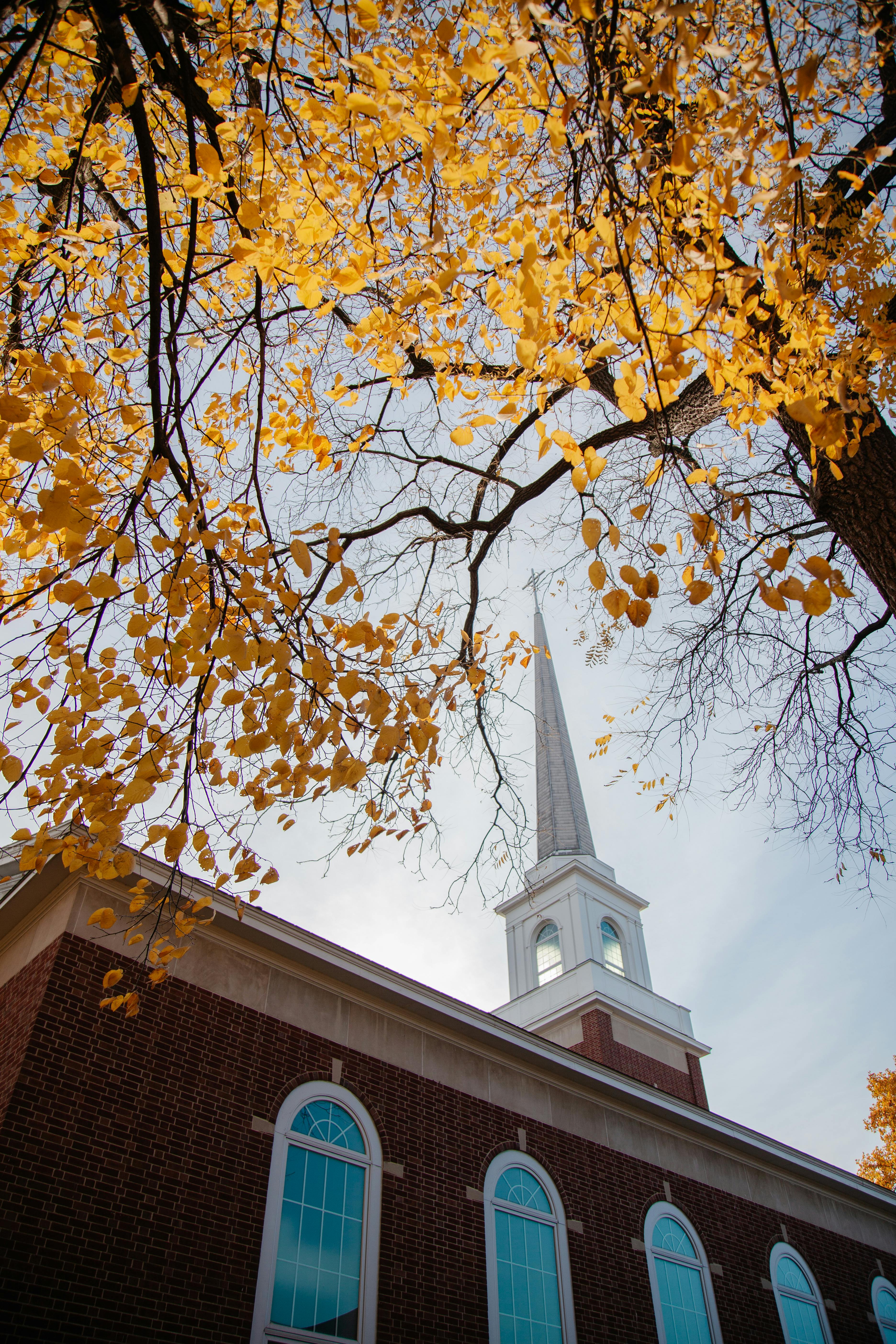 MA in Clinical Mental Health Counseling Fall Preview Day