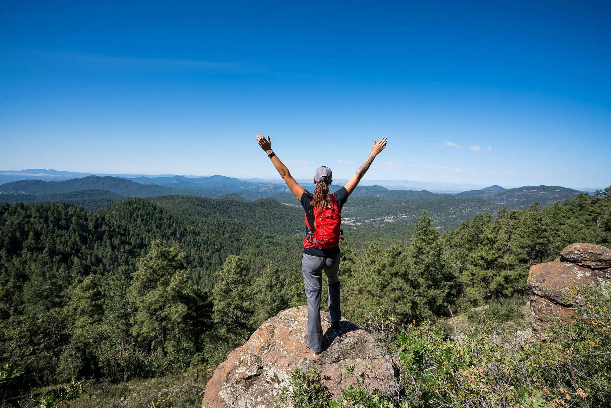 Building Stronger Transfer Pathways Across New Mexico